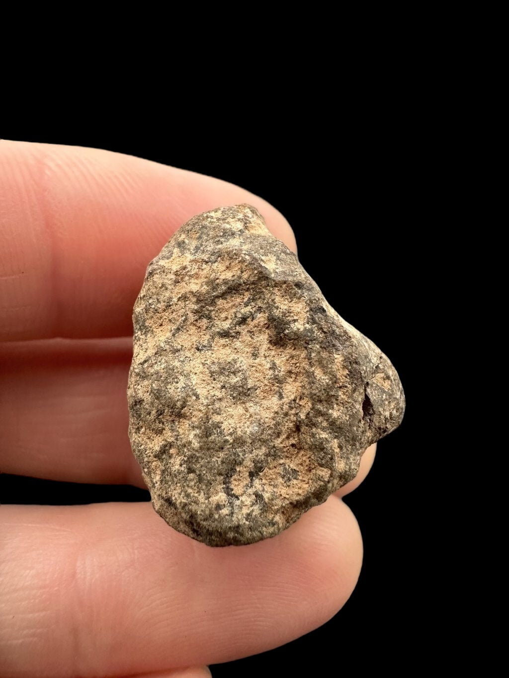 Meteorite Al Haggounia 001 – 11g – Western Sahara