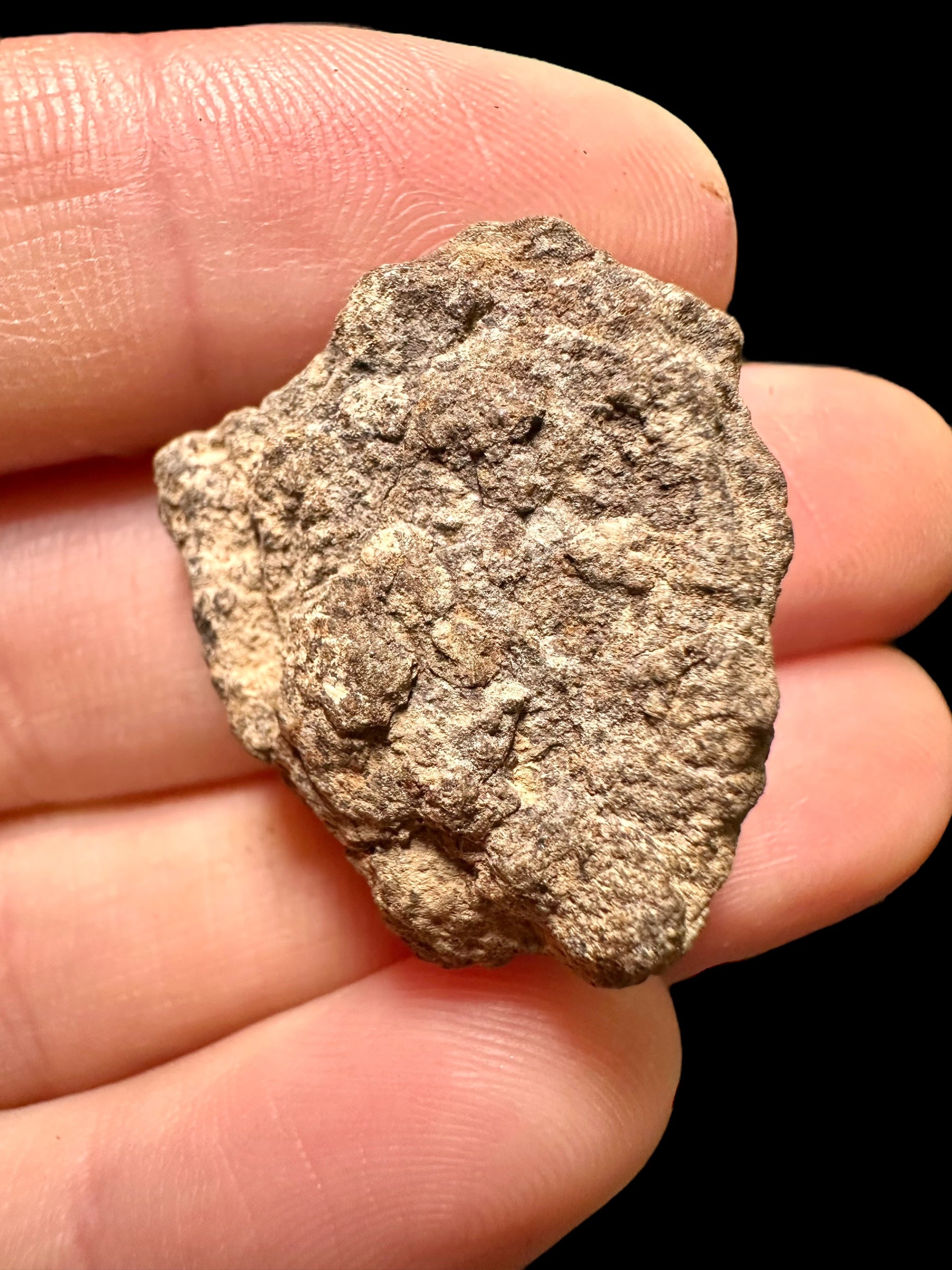 Meteorite Al Haggounia 001 – 8,11g – Western Sahara - MEAH32