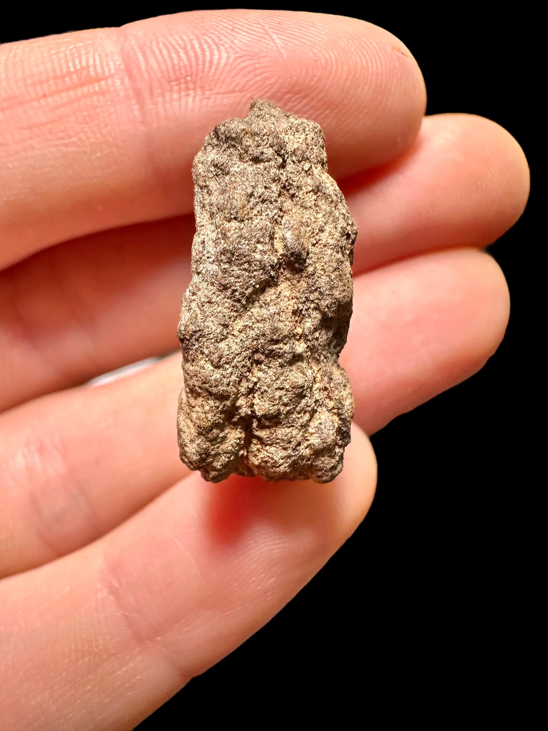 Meteorite Al Haggounia 001 – 8,11g – Western Sahara - MEAH32