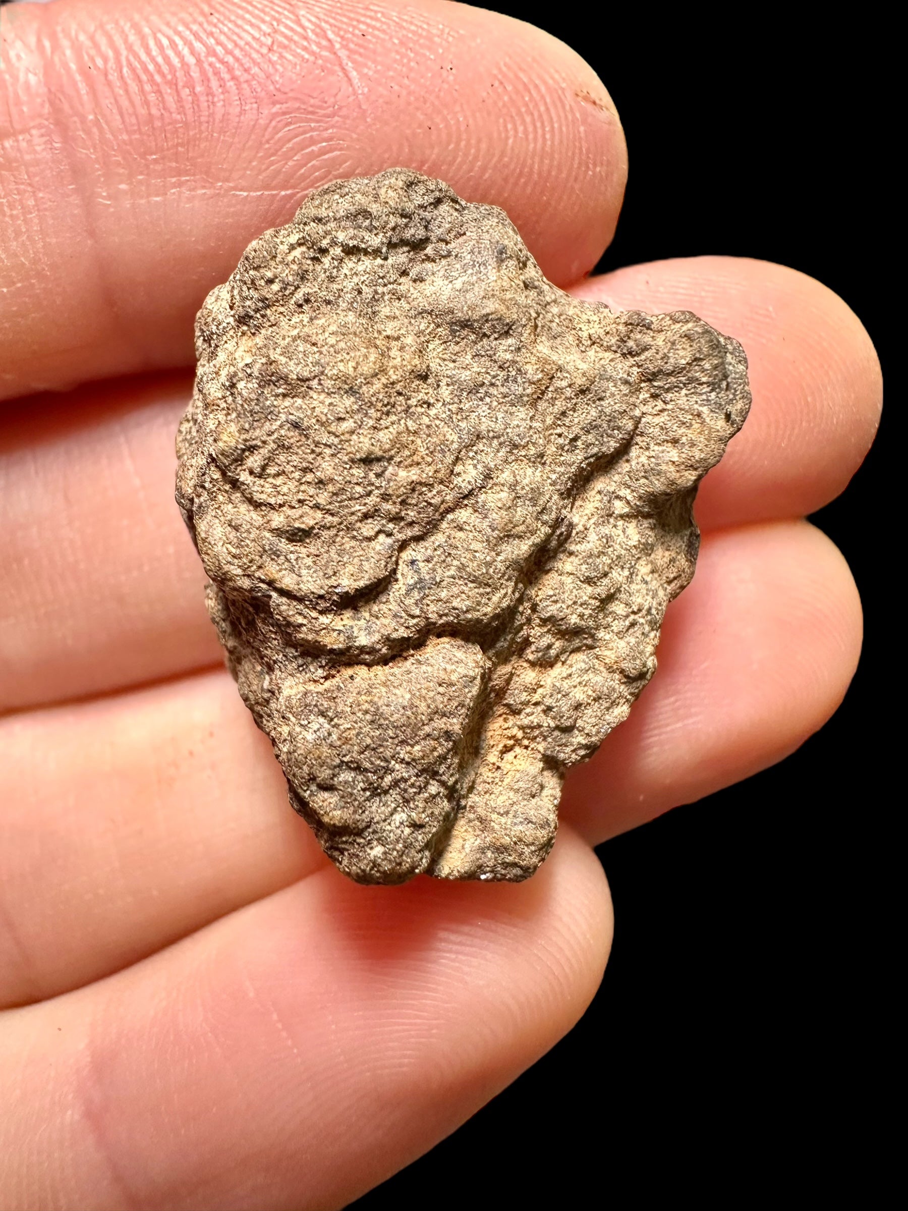Meteorite Al Haggounia 001 – 8,11g – Western Sahara - MEAH32