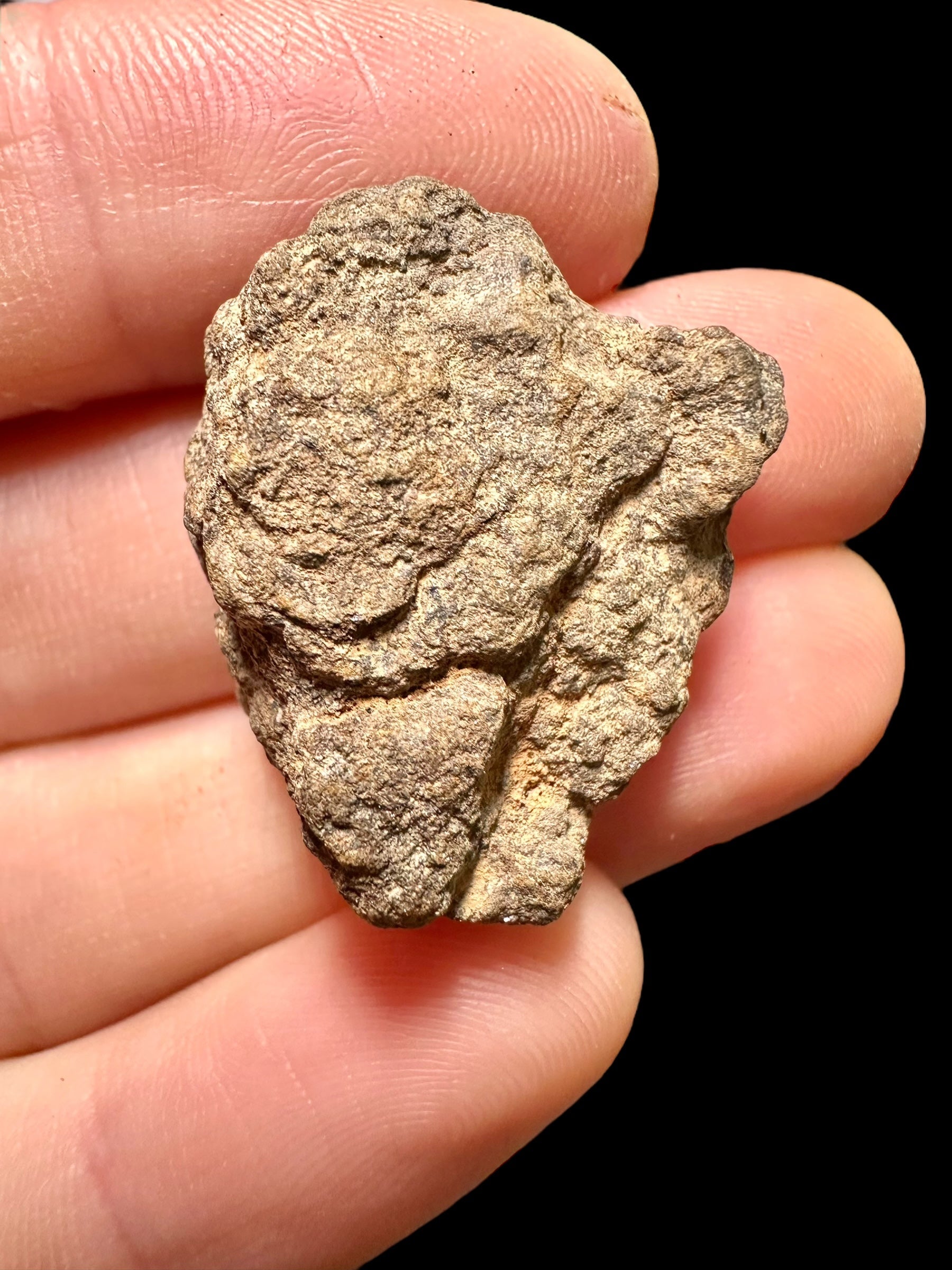 Meteorite Al Haggounia 001 – 8,11g – Western Sahara - MEAH32