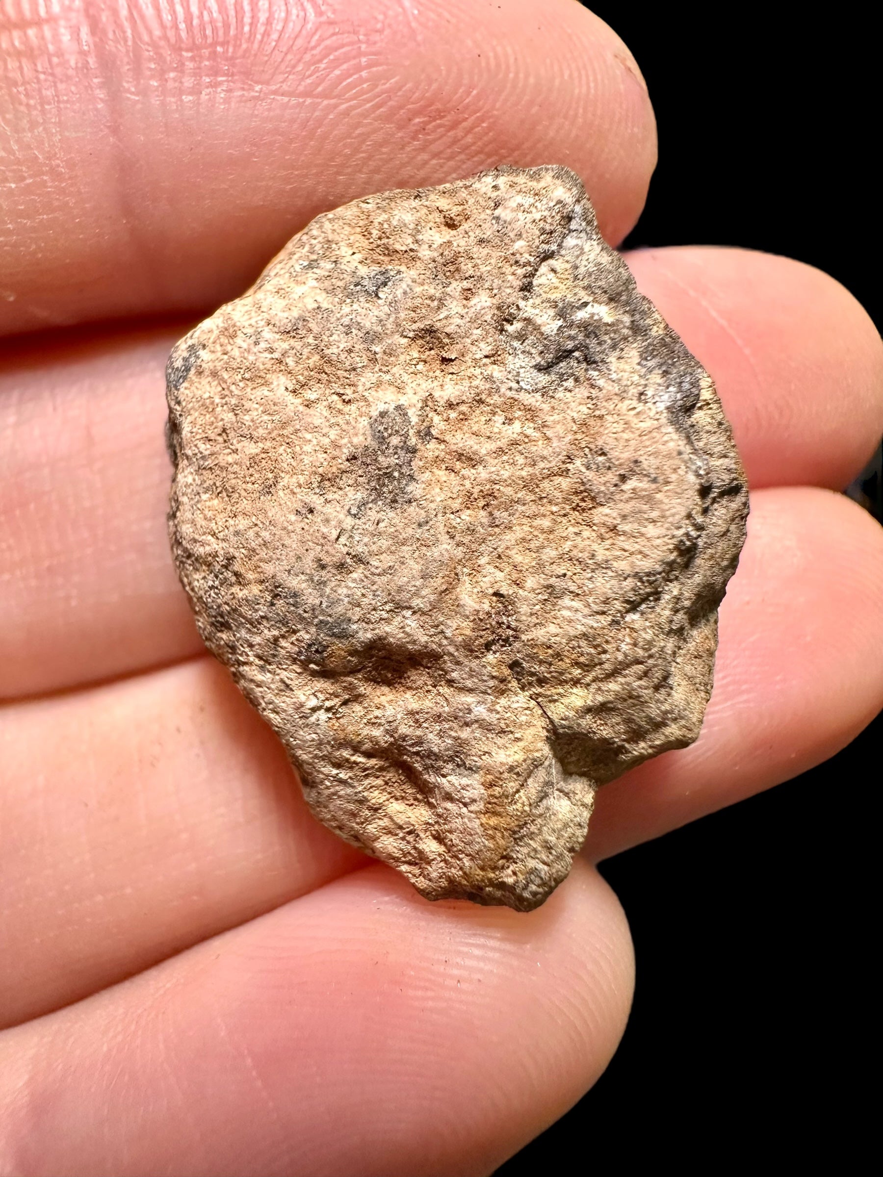 Meteorite Al Haggounia 001 – 6,42g – Western Sahara - MEAH33
