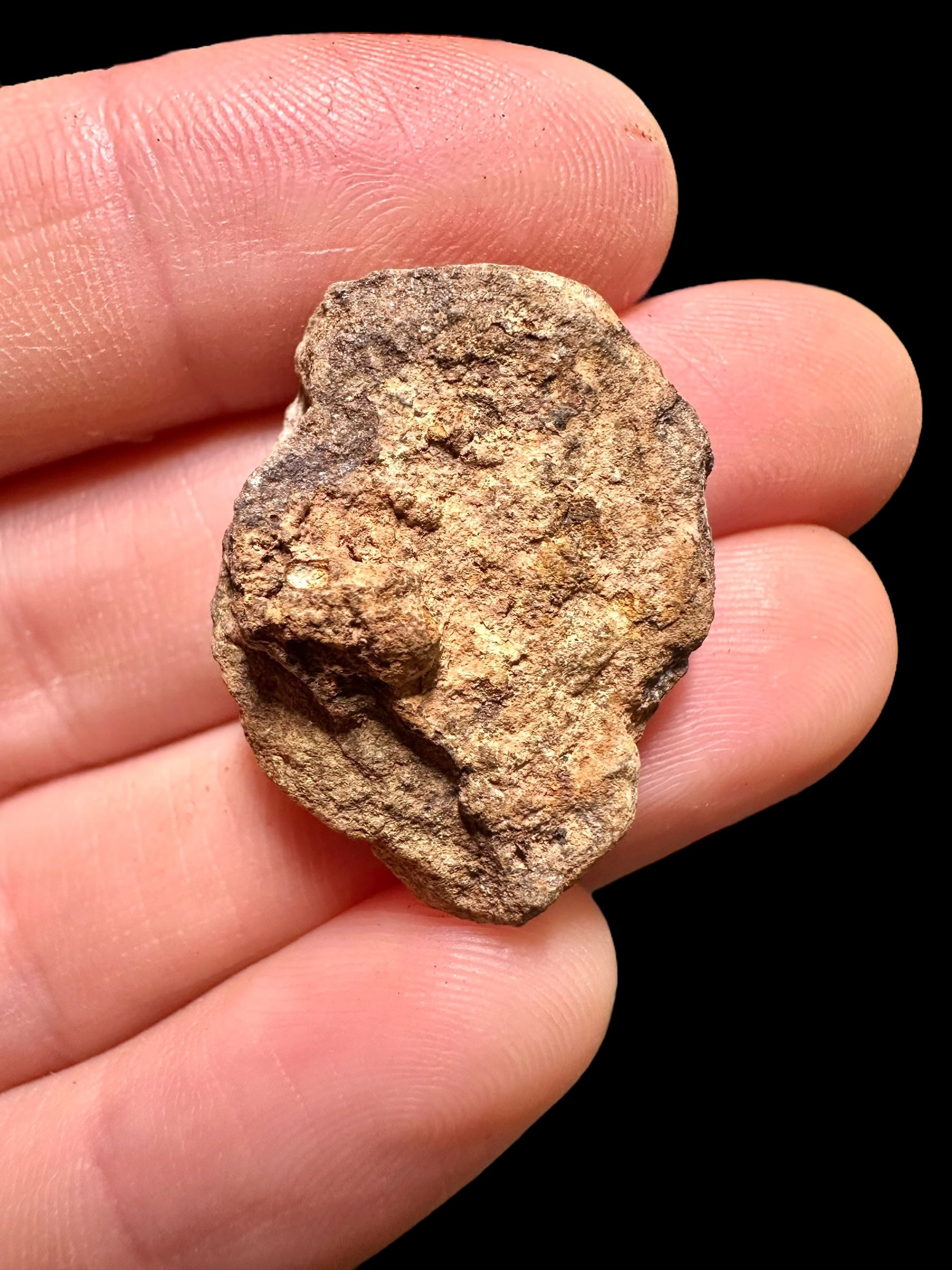 Meteorite Al Haggounia 001 – 6,42g – Western Sahara - MEAH33