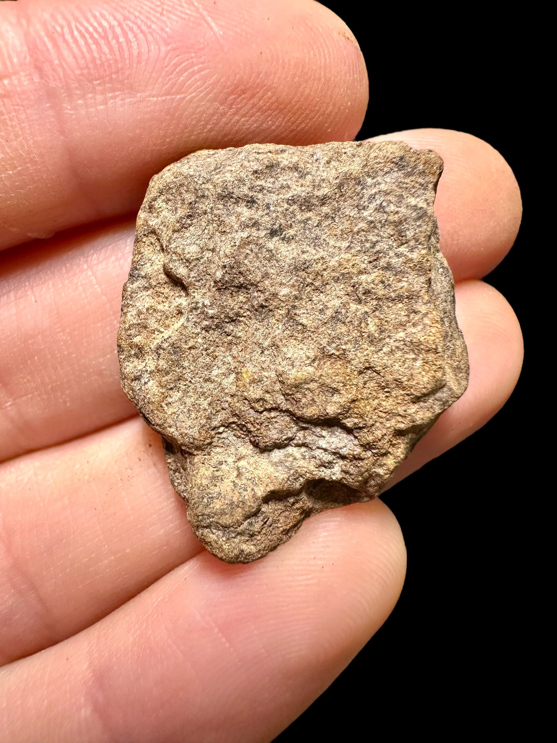 Meteorite Al Haggounia 001 – 5,93g – Western Sahara - MEAH35