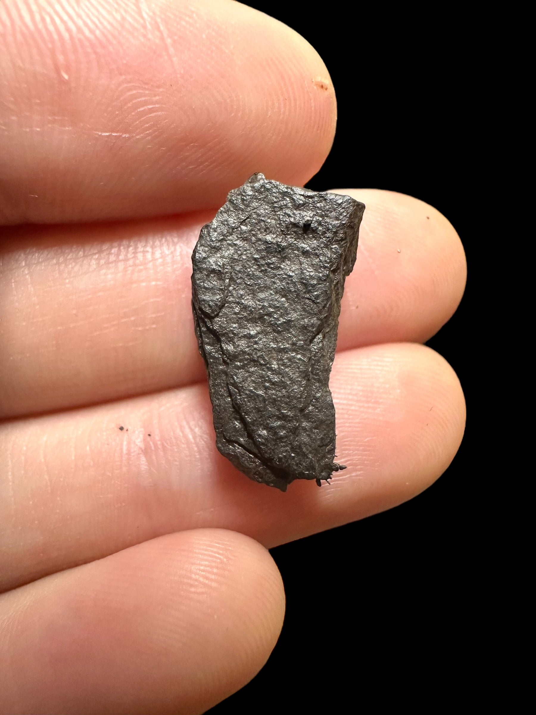 Meteorite Canyon Diablo 2,85g – Arizona, USA - MECD24