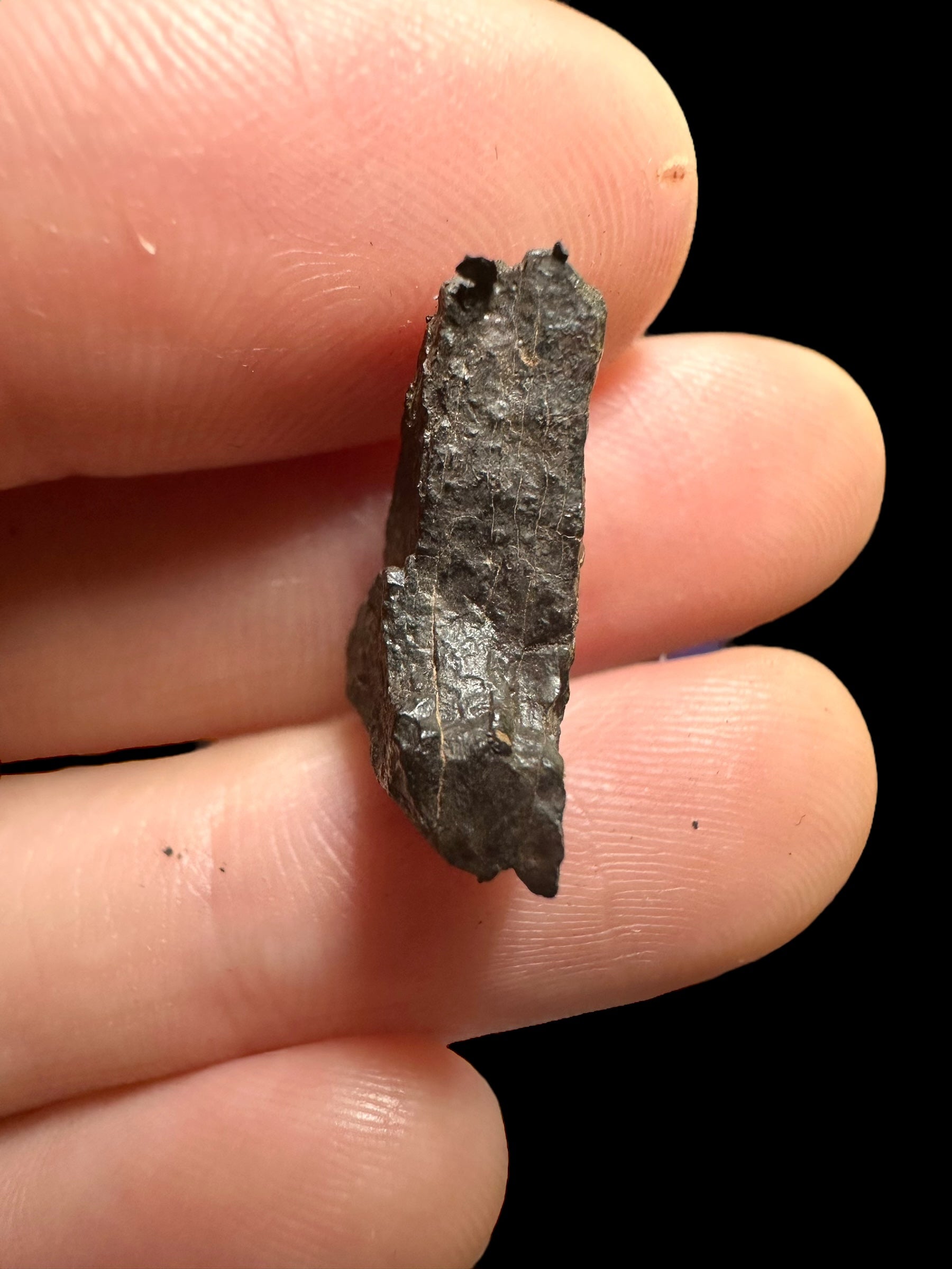 Meteorite Canyon Diablo 2,81g – Arizona, USA - MECD25