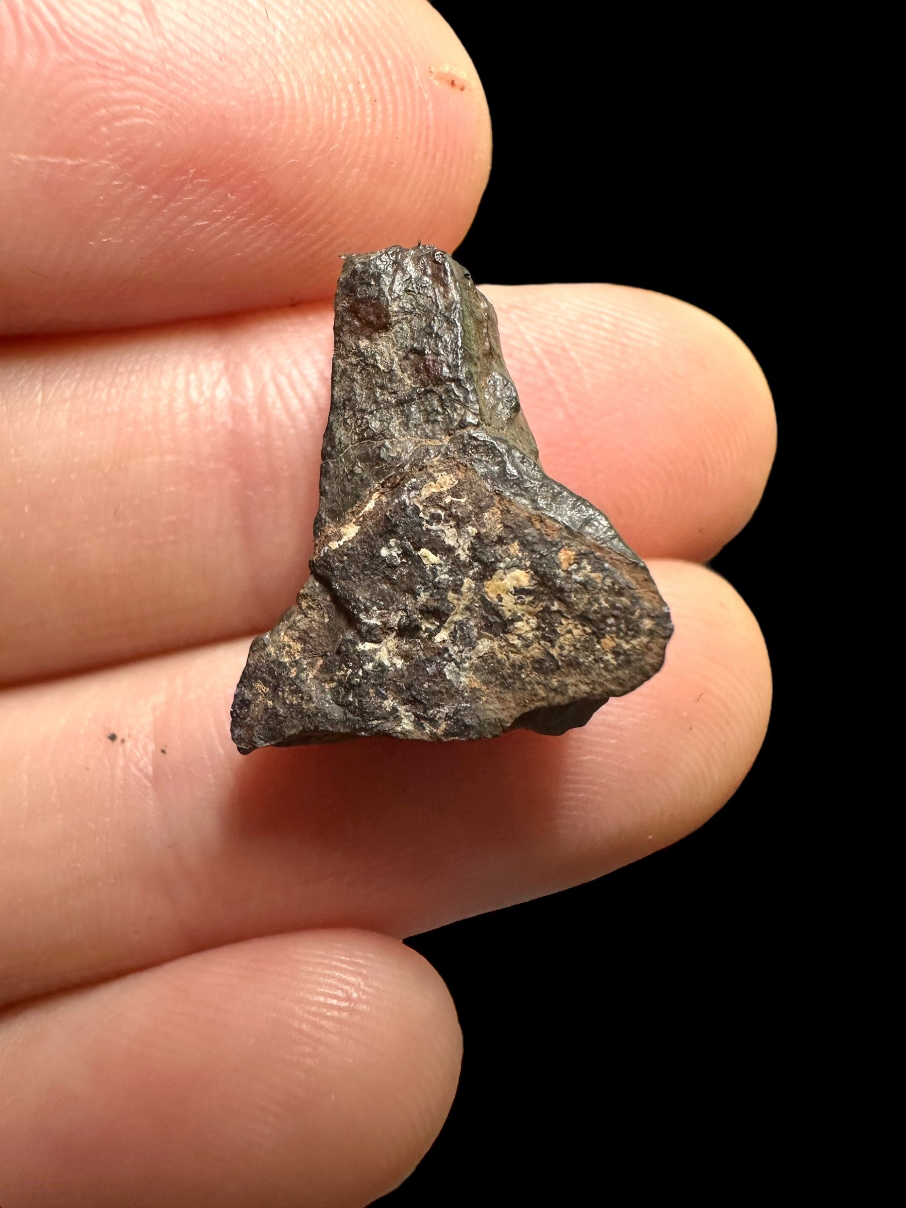 Meteorite Canyon Diablo 2,81g – Arizona, USA - MECD25