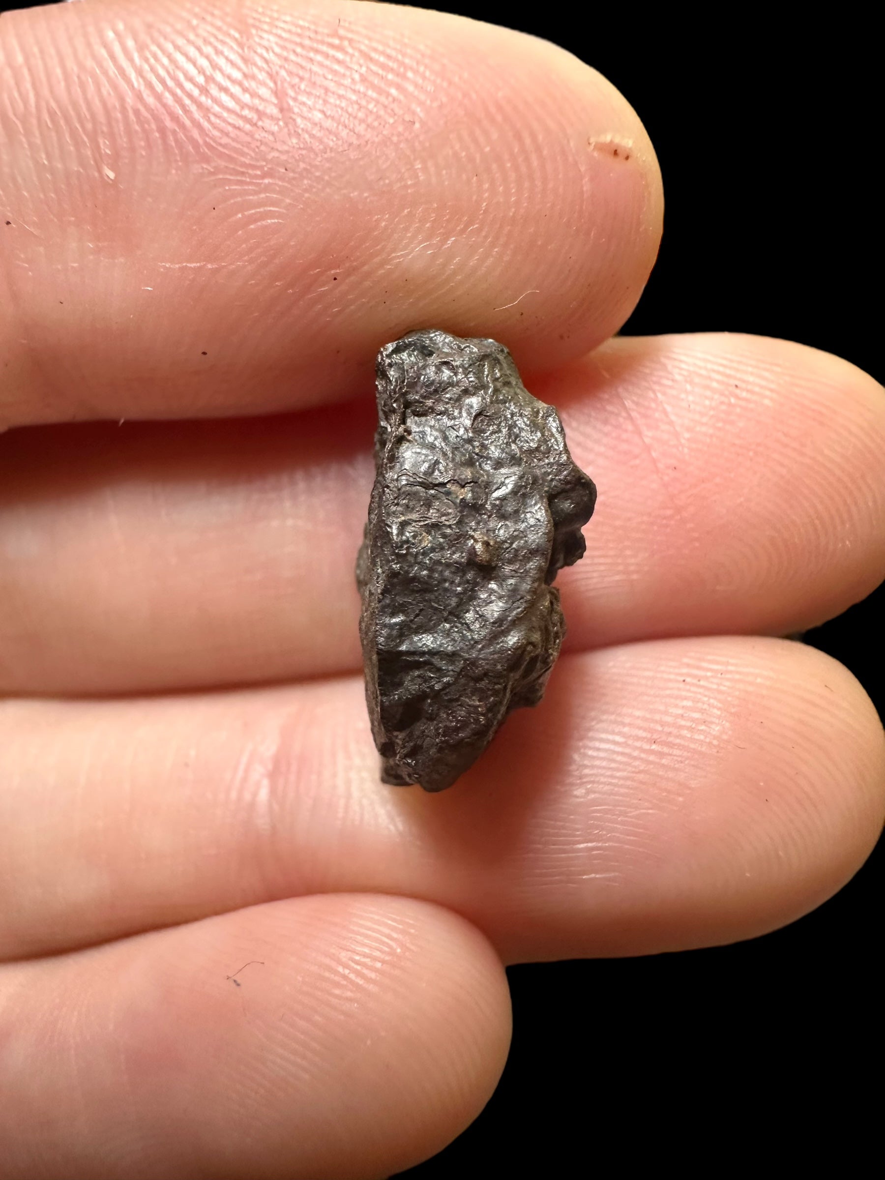 Meteorite Canyon Diablo 2,78g – Arizona, USA - MECD27