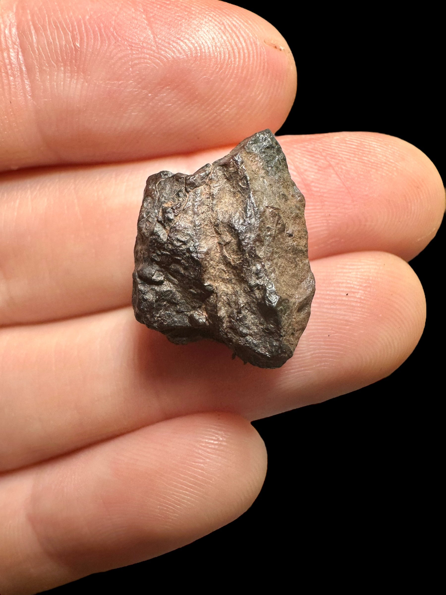 Meteorite Canyon Diablo 4,49g – Arizona, USA - MECD29