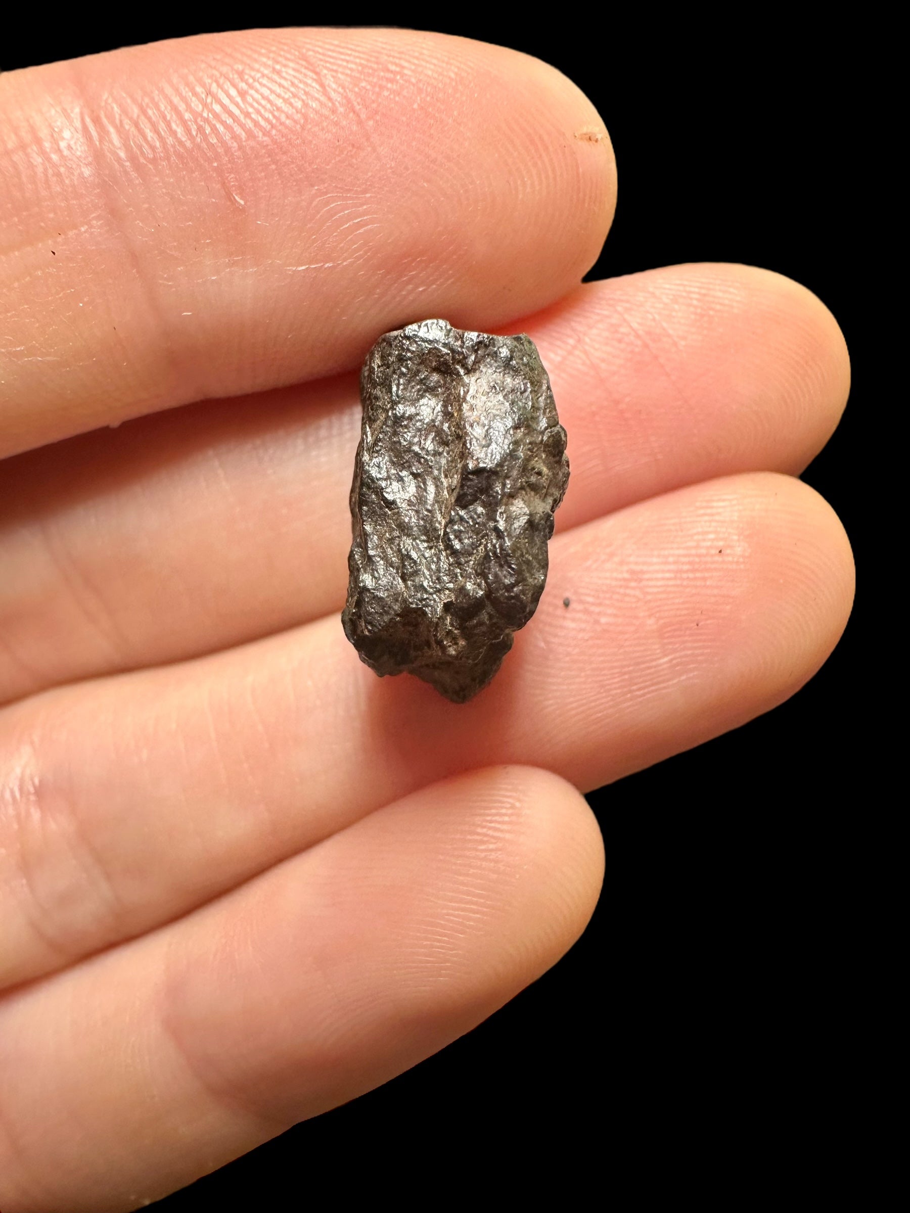 Meteorite Canyon Diablo 4,49g – Arizona, USA - MECD29