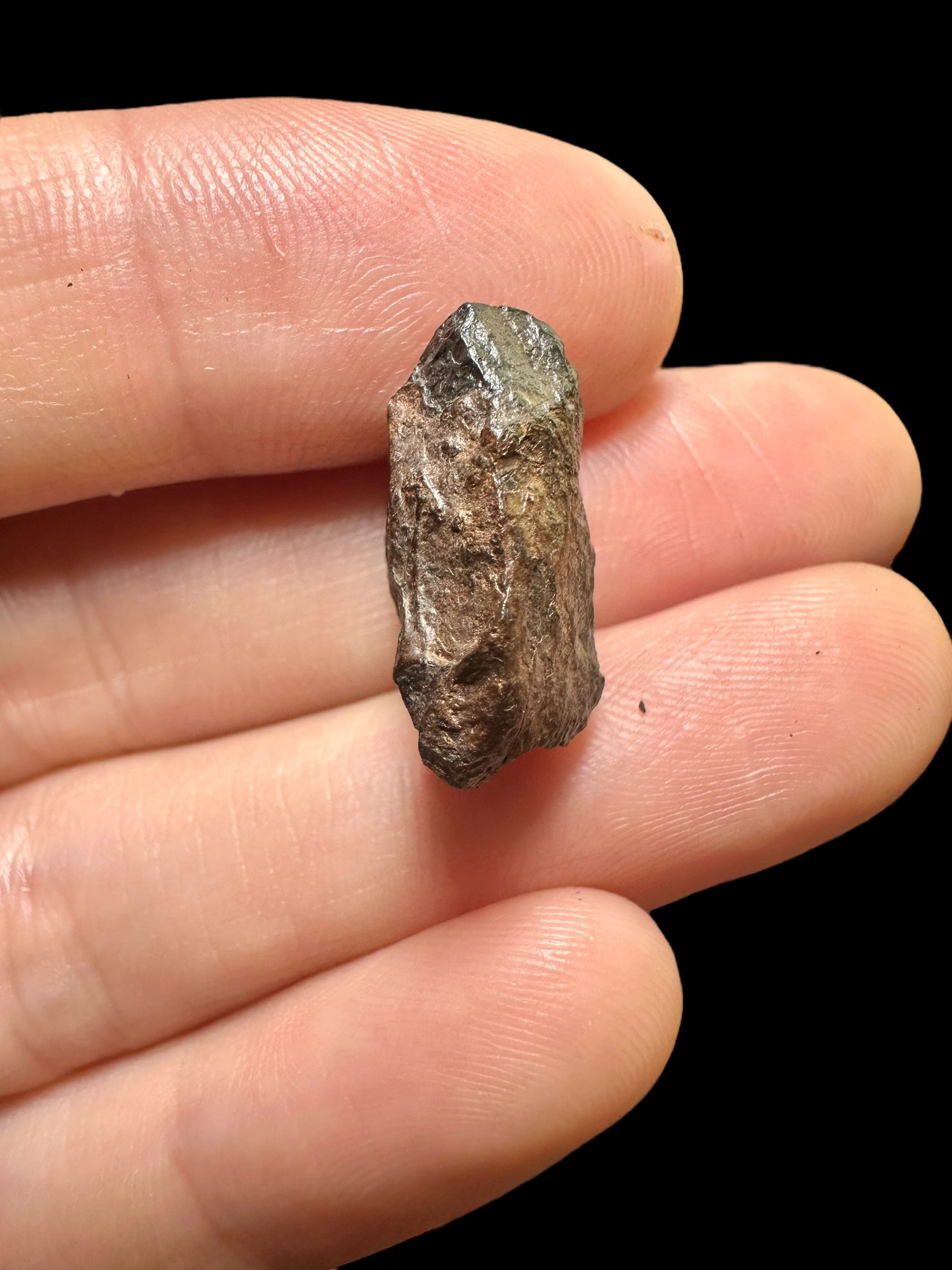 Meteorite Canyon Diablo 4,49g – Arizona, USA - MECD29