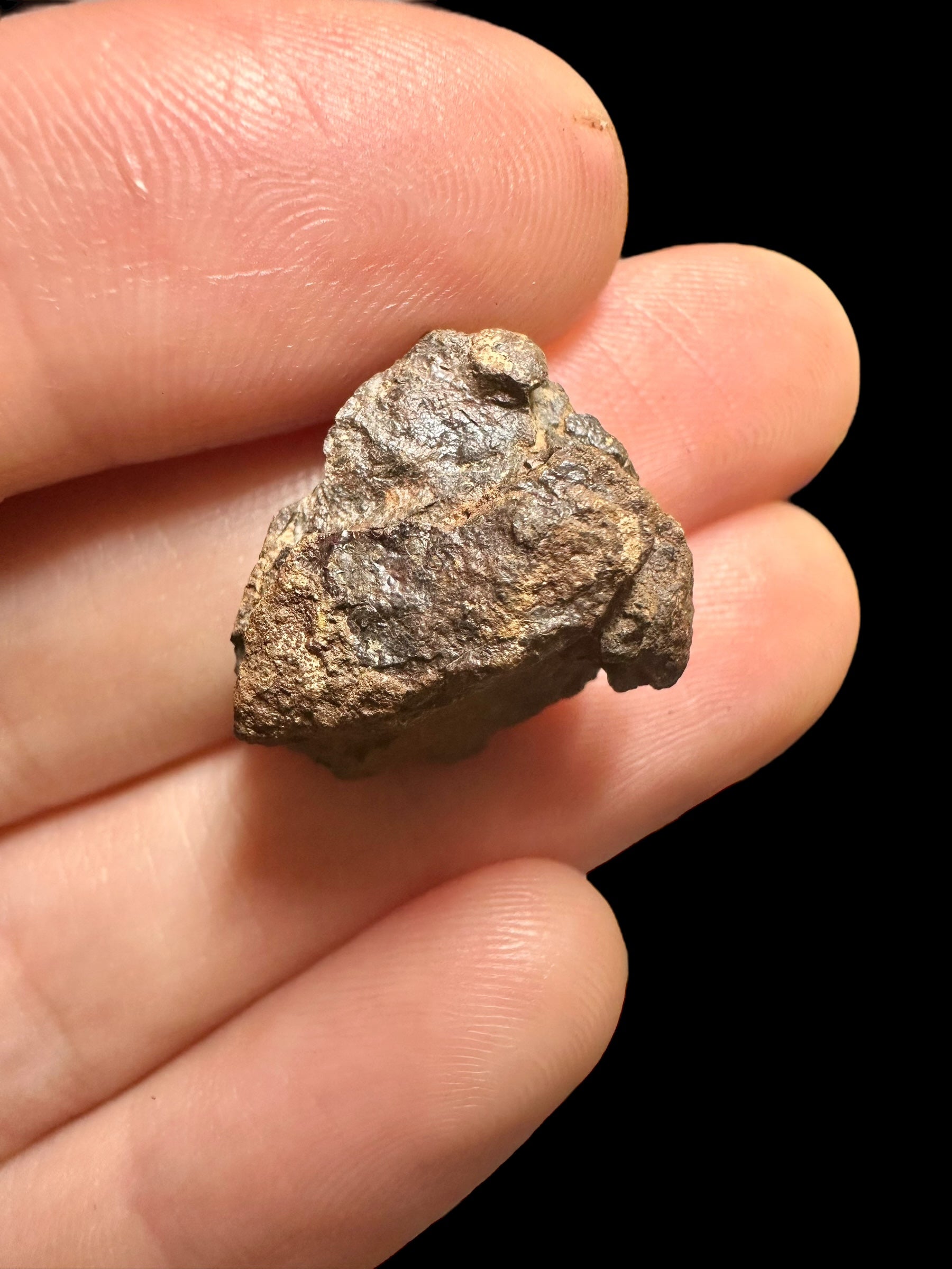 Meteorite Canyon Diablo 4,36g – Arizona, USA - MECD30