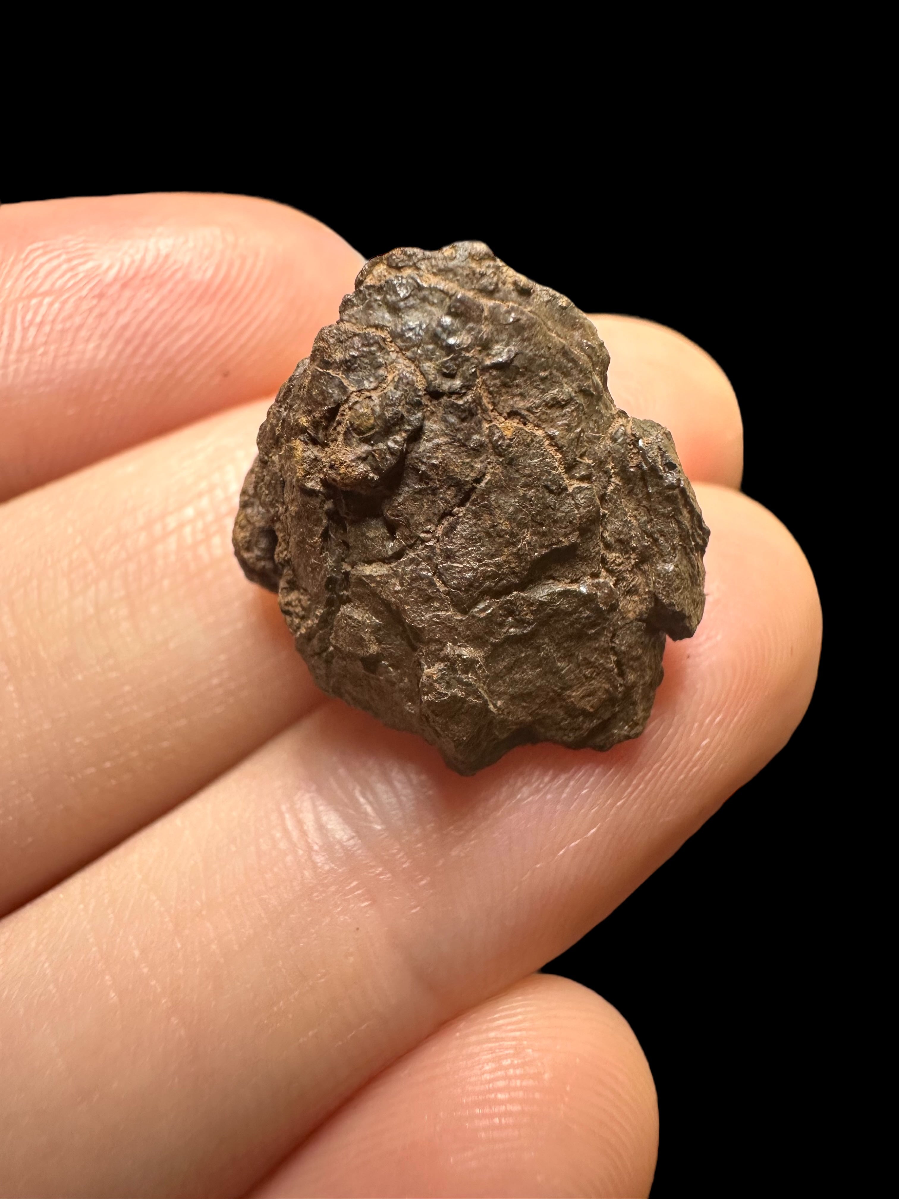 Meteorite Canyon Diablo 4,36g – Arizona, USA - MECD30