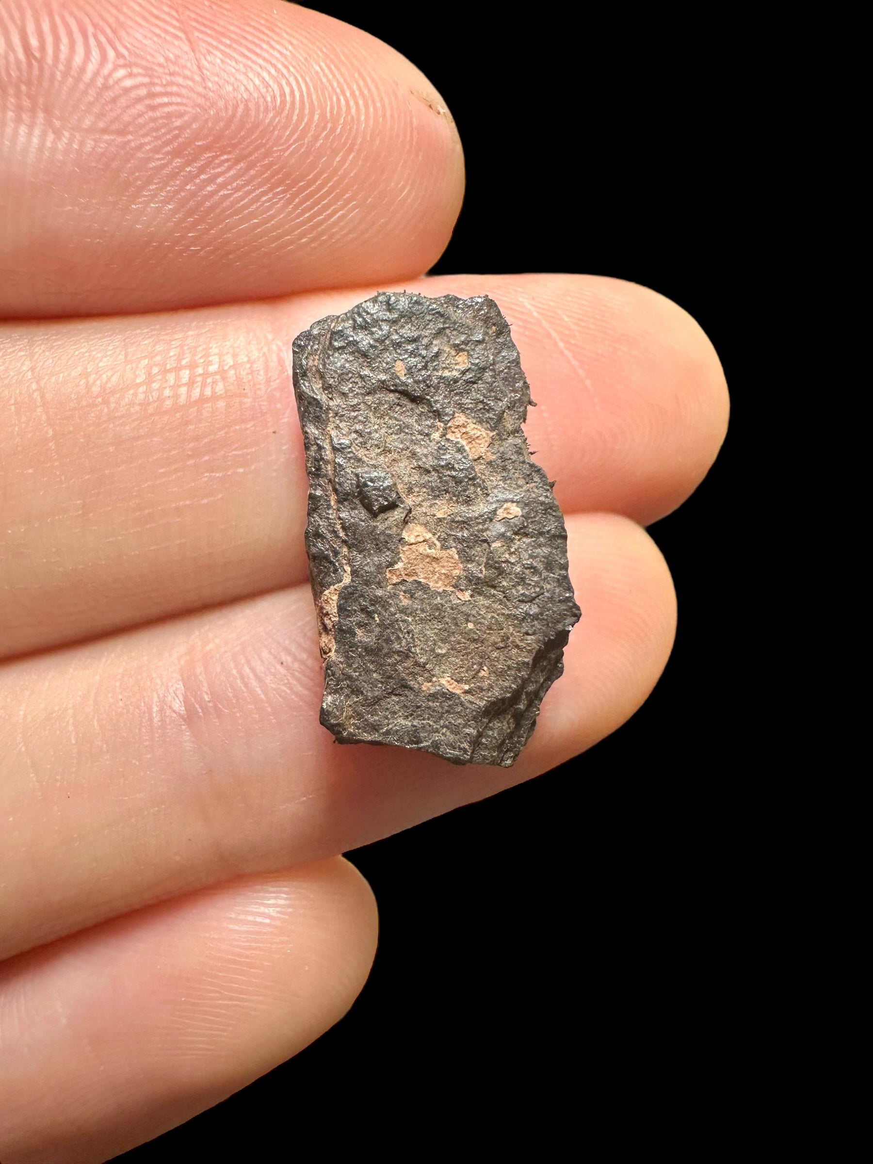 Meteorite Canyon Diablo 3,48g – Arizona, USA - MECD31