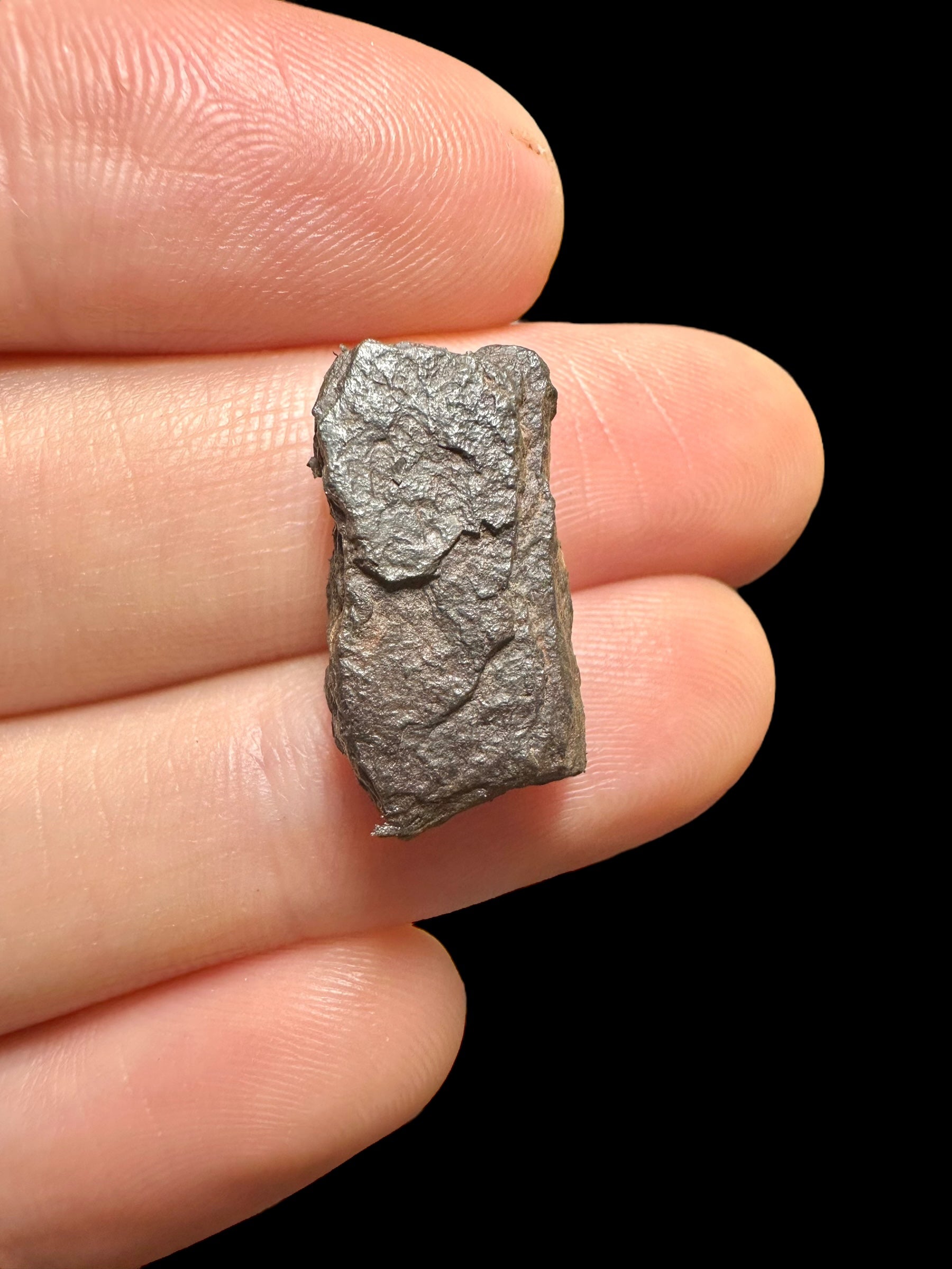 Meteorite Canyon Diablo 3,48g – Arizona, USA - MECD31