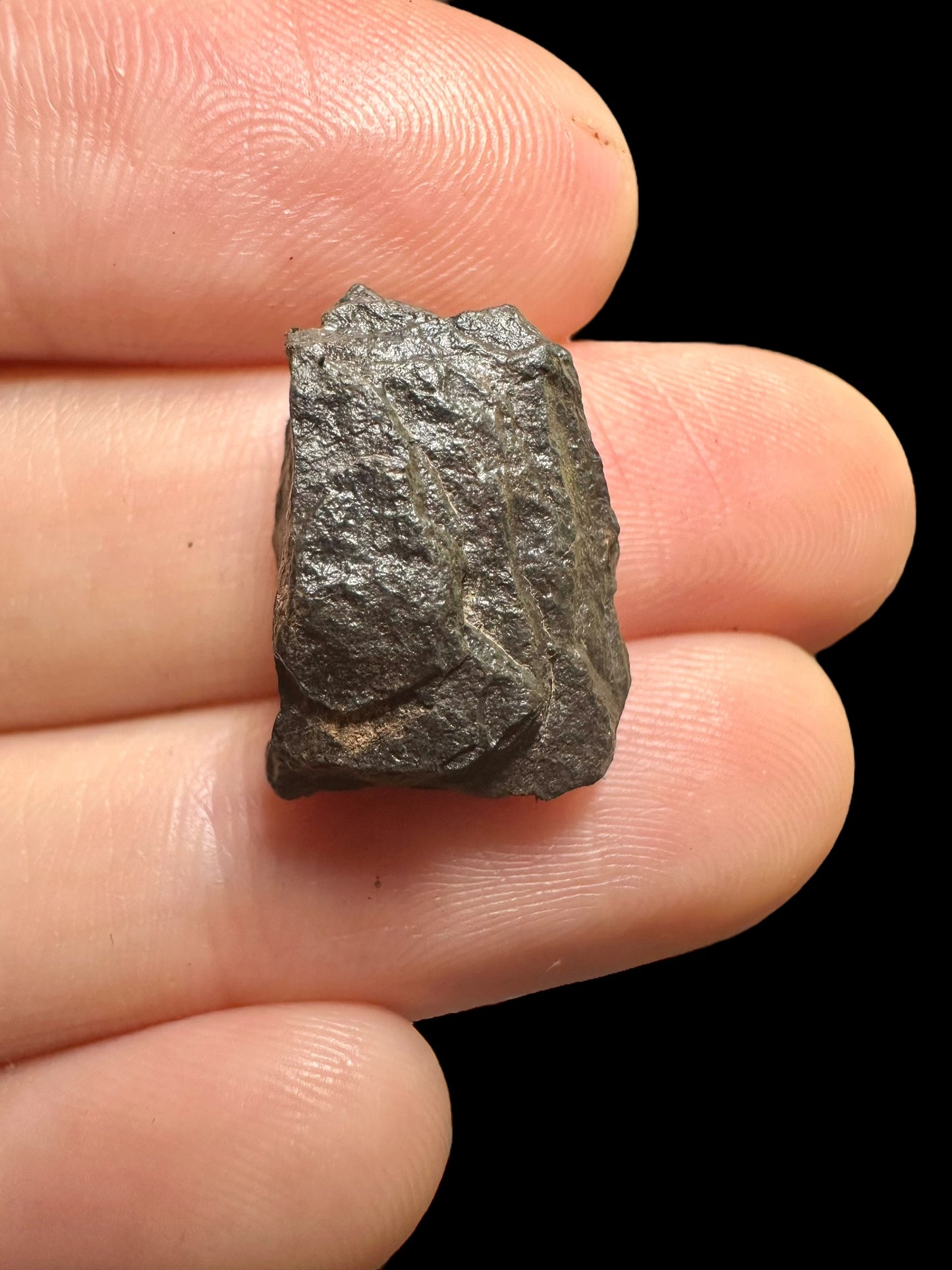 Meteorite Canyon Diablo – Arizona, USA – MECD34