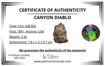 Meteorite Canyon Diablo – Arizona, USA – MECD34
