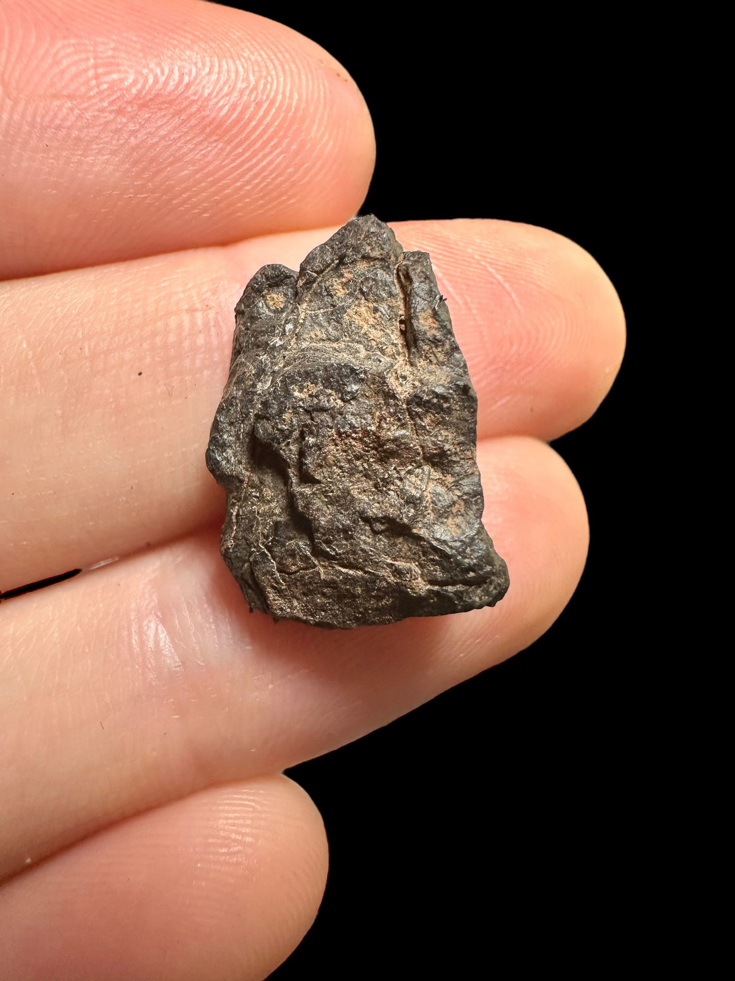 Meteorite Canyon Diablo – Arizona, USA – MECD34