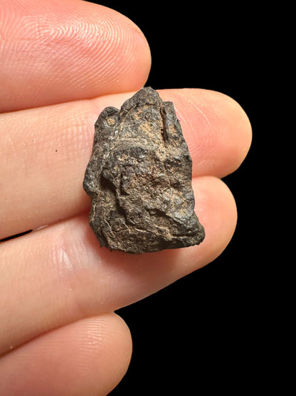 Meteorite Canyon Diablo – Arizona, USA – MECD34