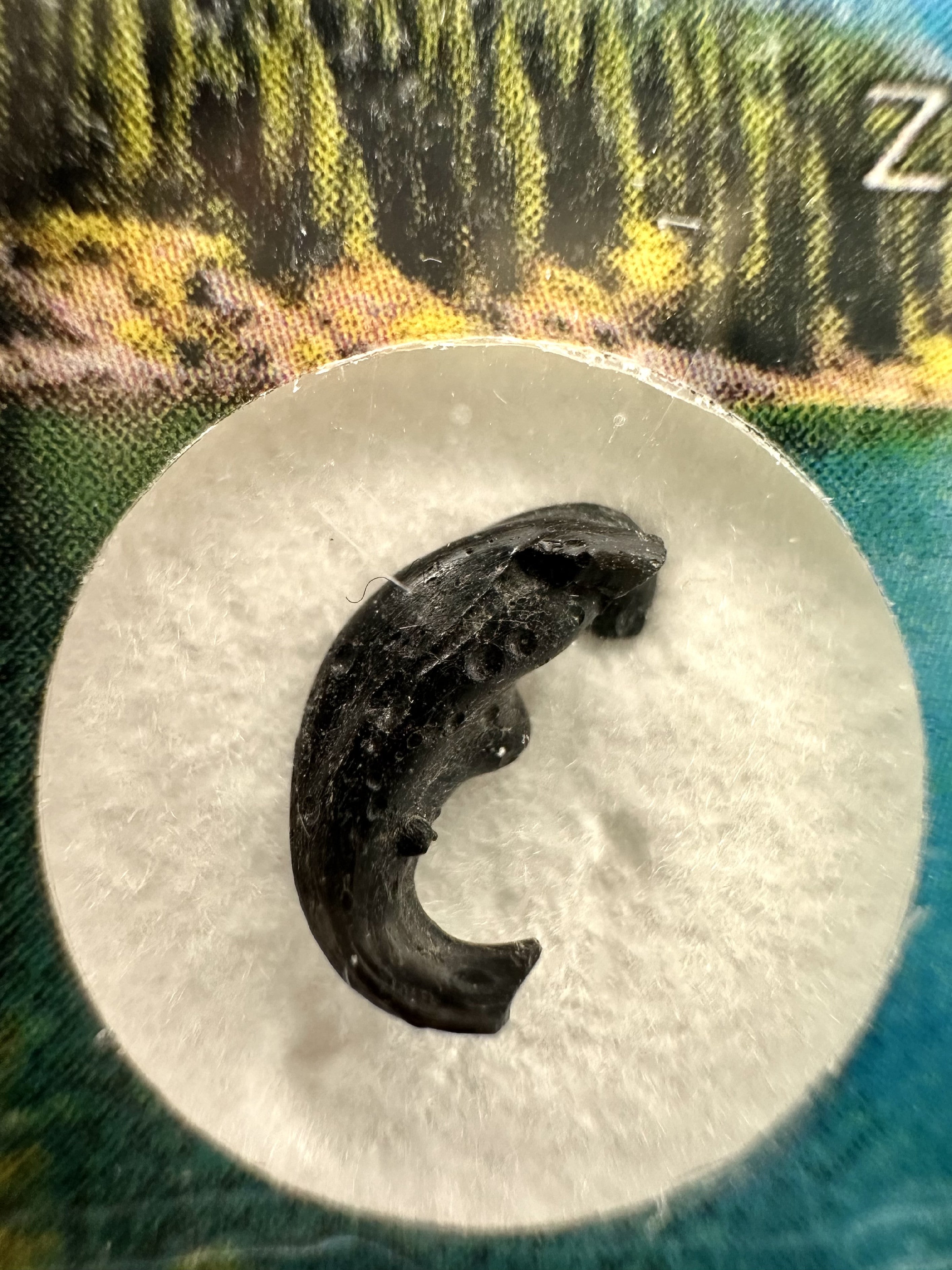 Irgizite in box – Zhamanshin, Kazakhstan - IR028