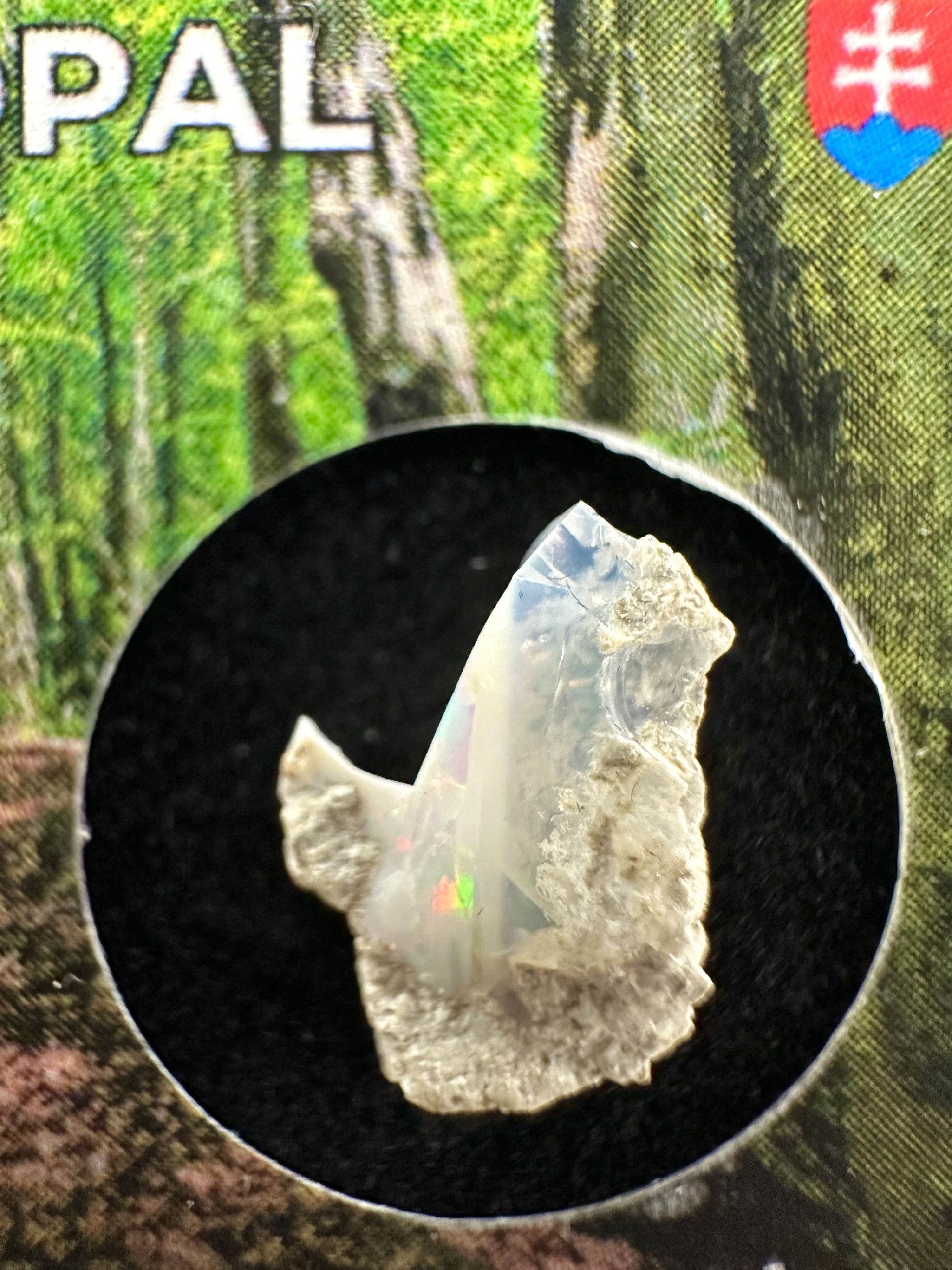 Precious opal in box – Dubnik, Slovakia - SOP046