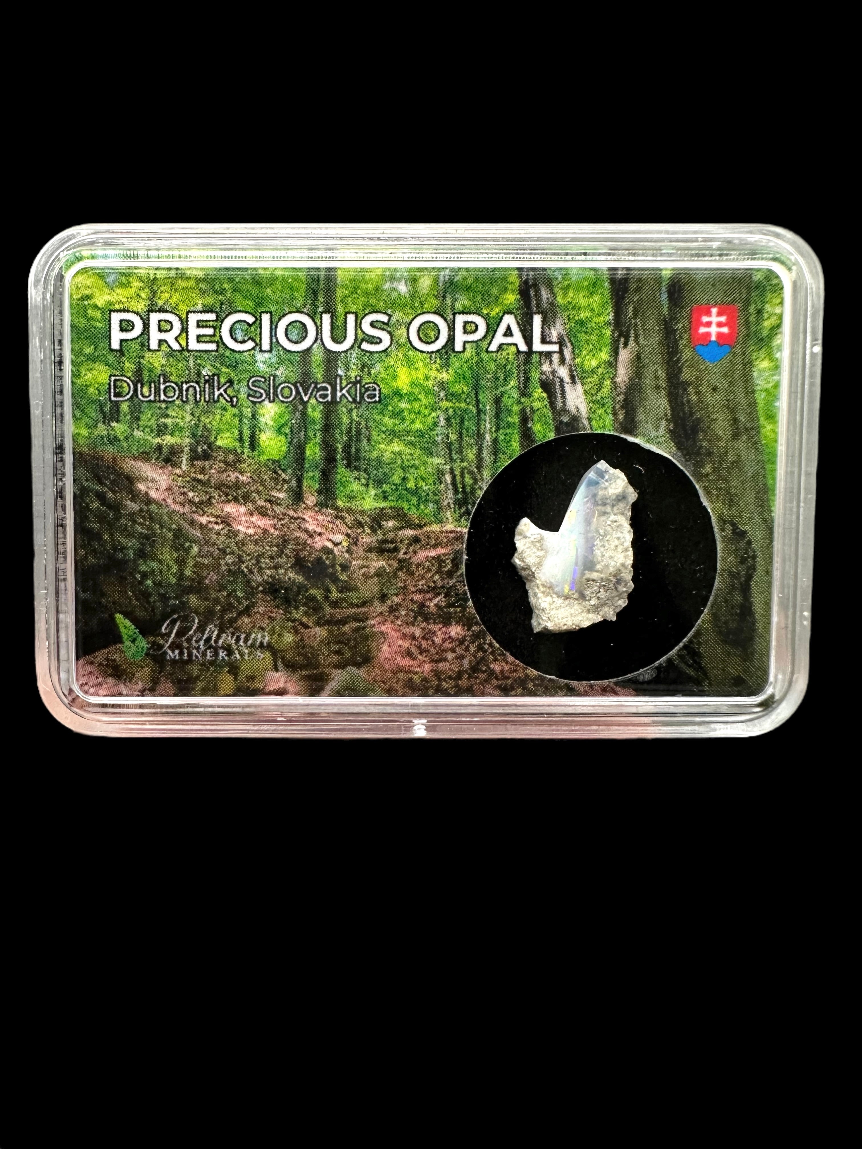 Precious opal in box – Dubnik, Slovakia