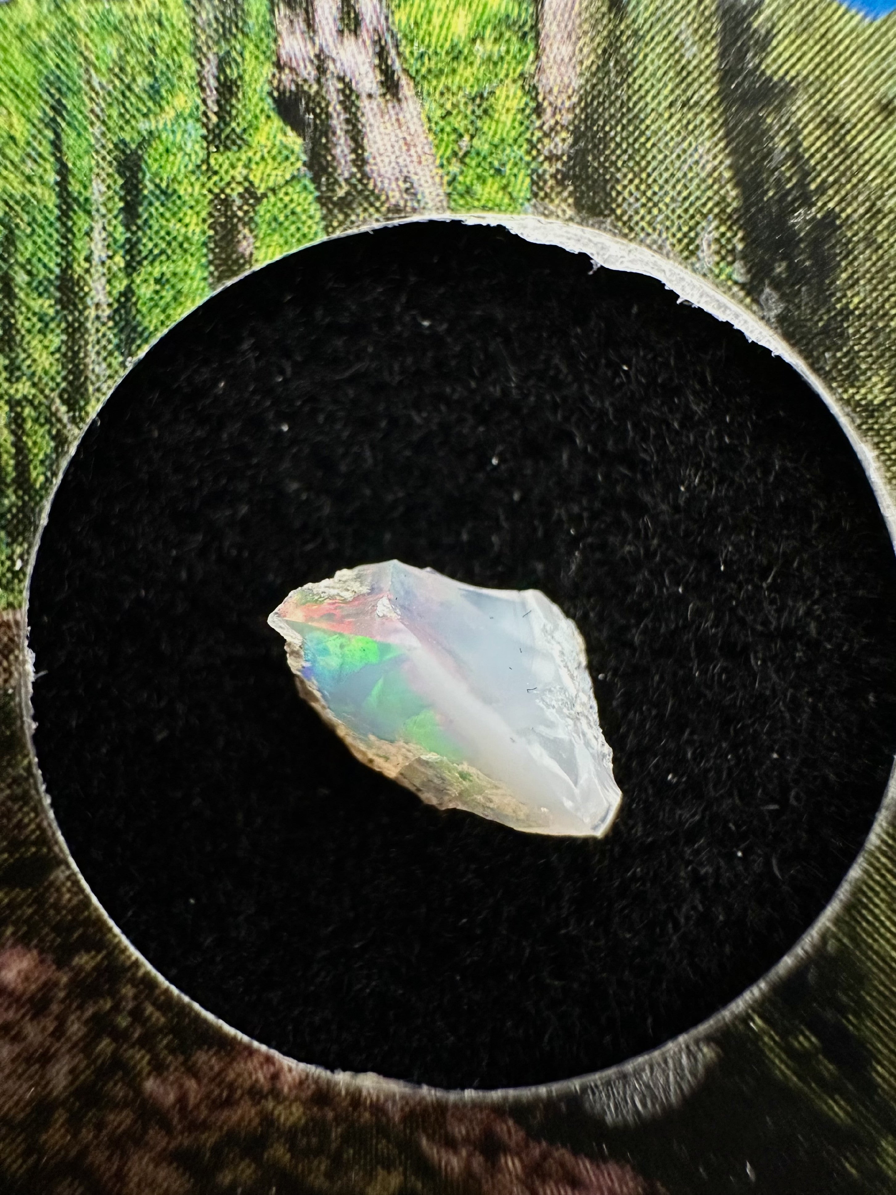 Precious opal in box – Dubnik, Slovakia - SOP049