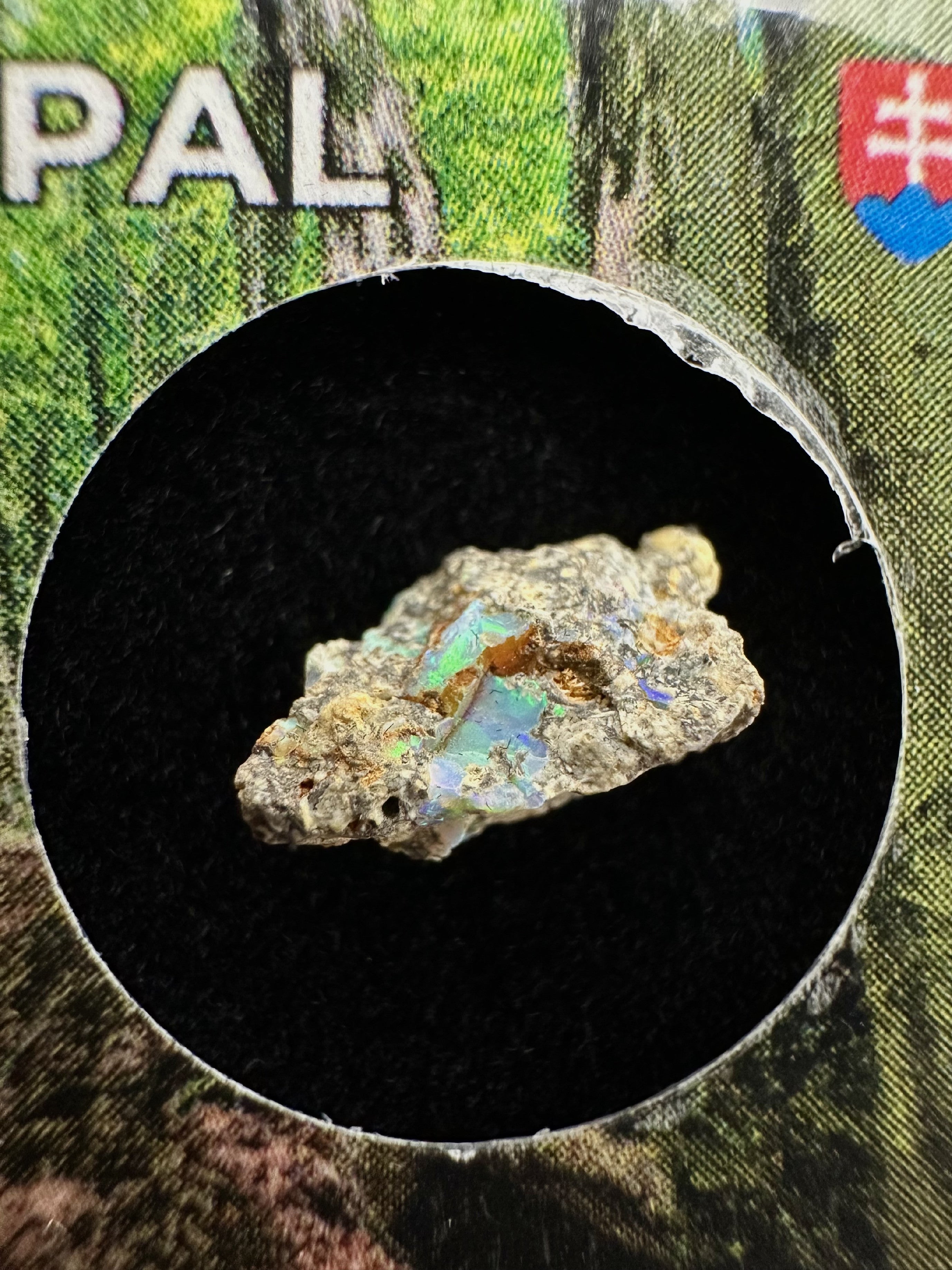 Precious opal in box – Dubnik, Slovakia - SOP050