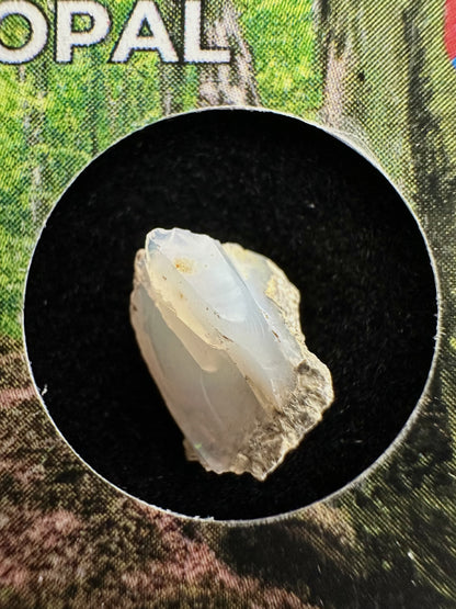 Opale Prezioso in box – Dubnik, Slovakia – SOP054