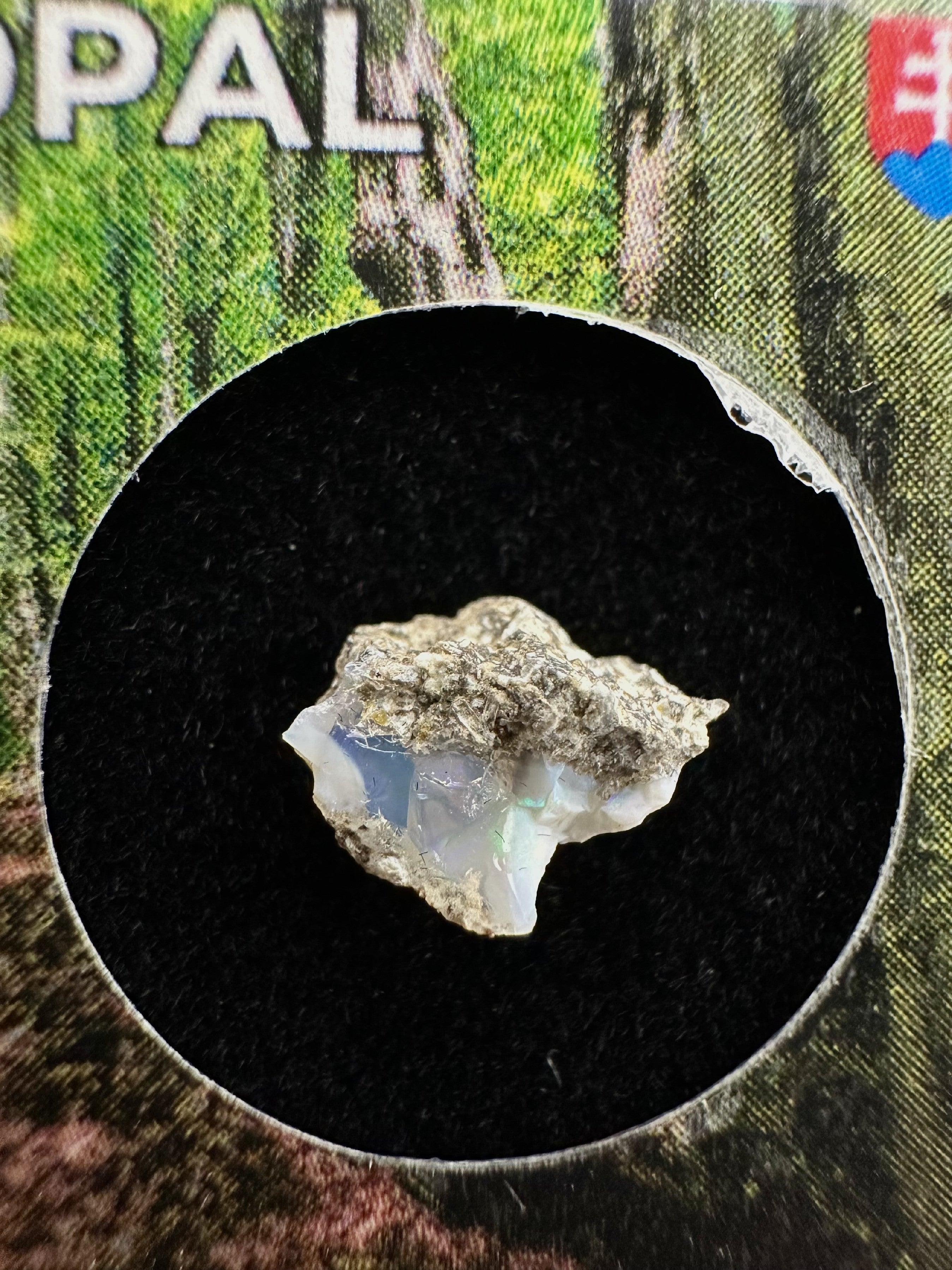 Precious opal in box – Dubnik, Slovakia - SOP055
