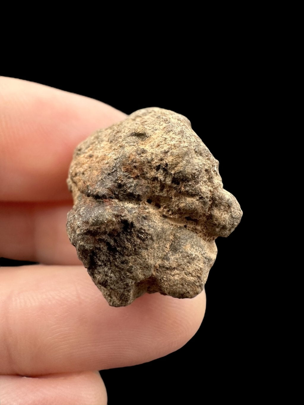 Meteorite Al Haggounia 001 – 8,9g – Western Sahara