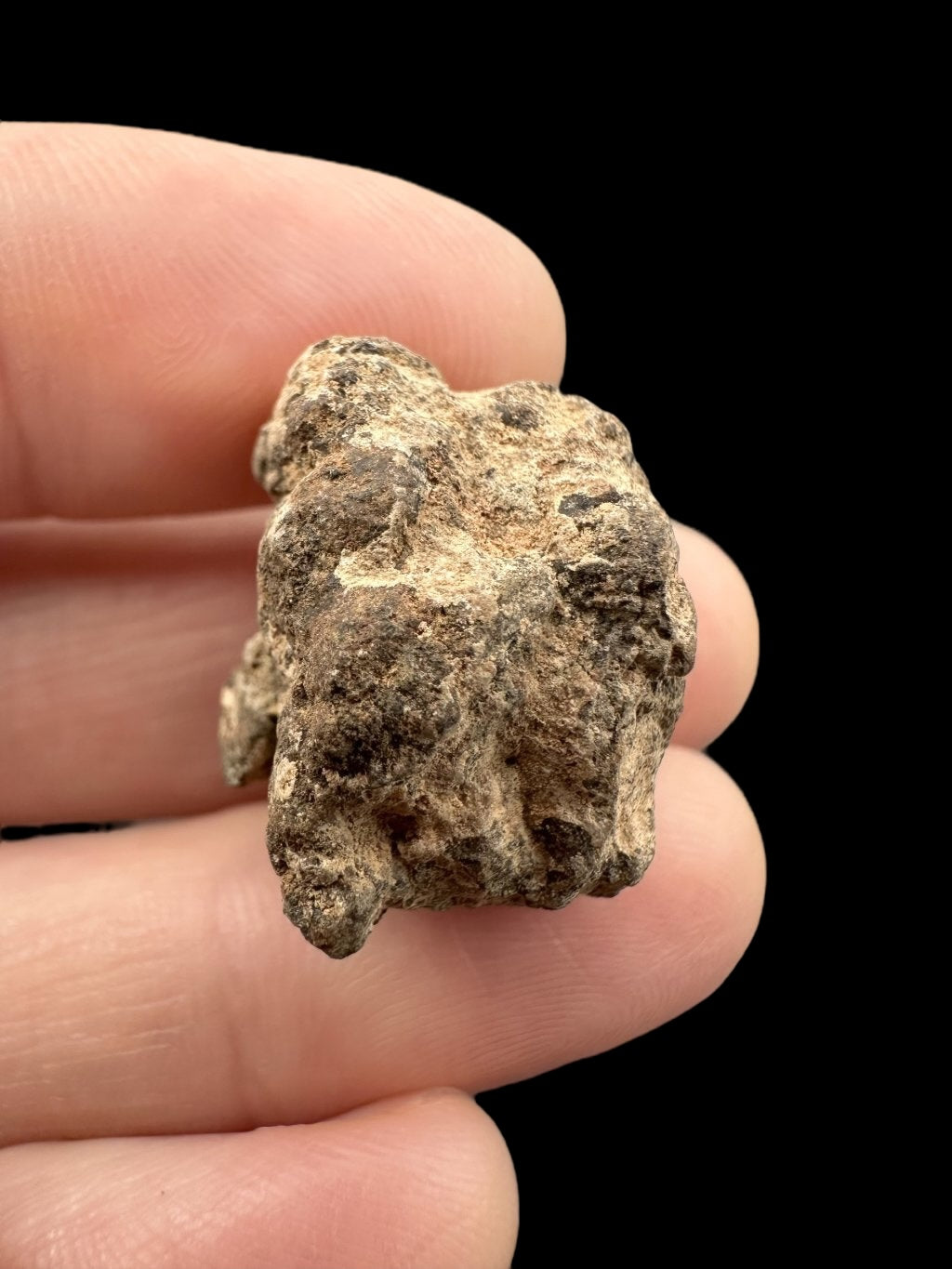 Meteorite Al Haggounia 001 – 8,9g – Western Sahara - MEAH46