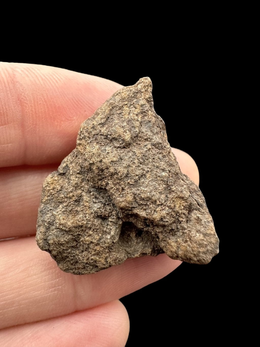 Meteorite Al Haggounia 001 – 9,2g – Western Sahara