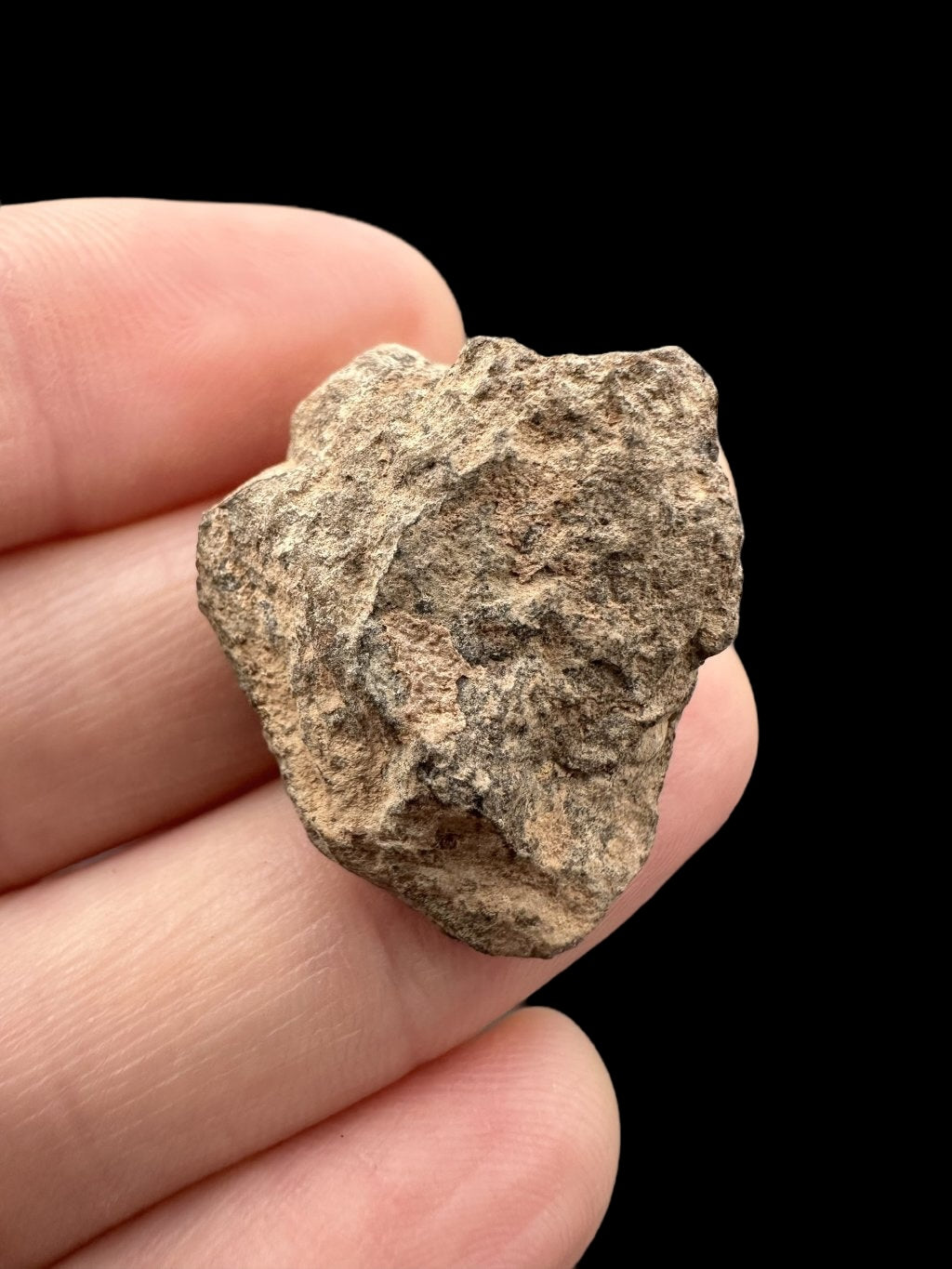 Meteorite Al Haggounia 001 – 7,8g – Western Sahara - MEAH49