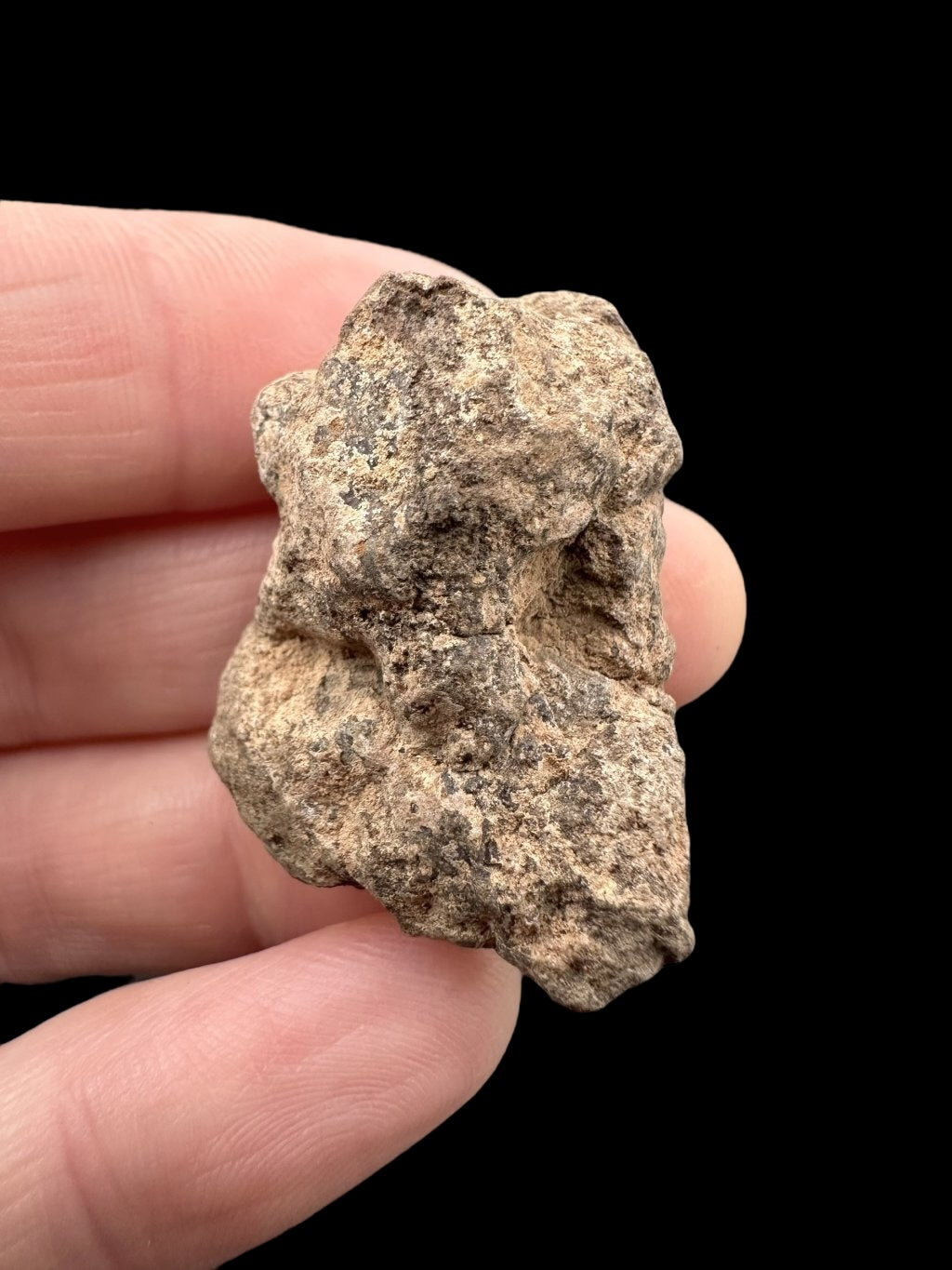 Meteorite Al Haggounia 001 – 13,6g – Western Sahara