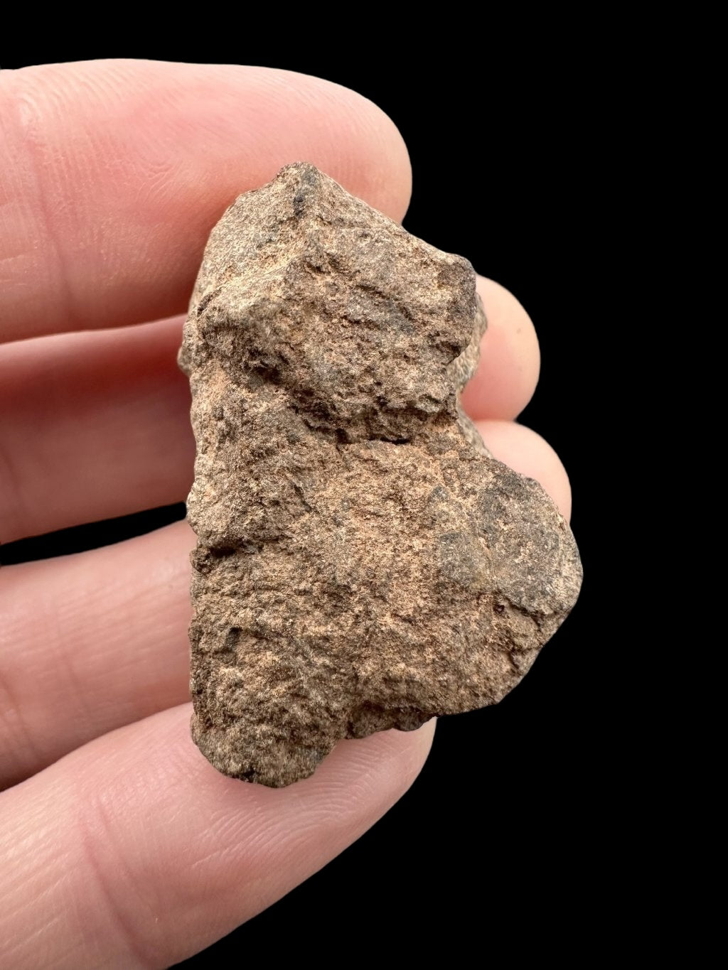 Meteorite Al Haggounia 001 – 13,6g – Western Sahara - MEAH50