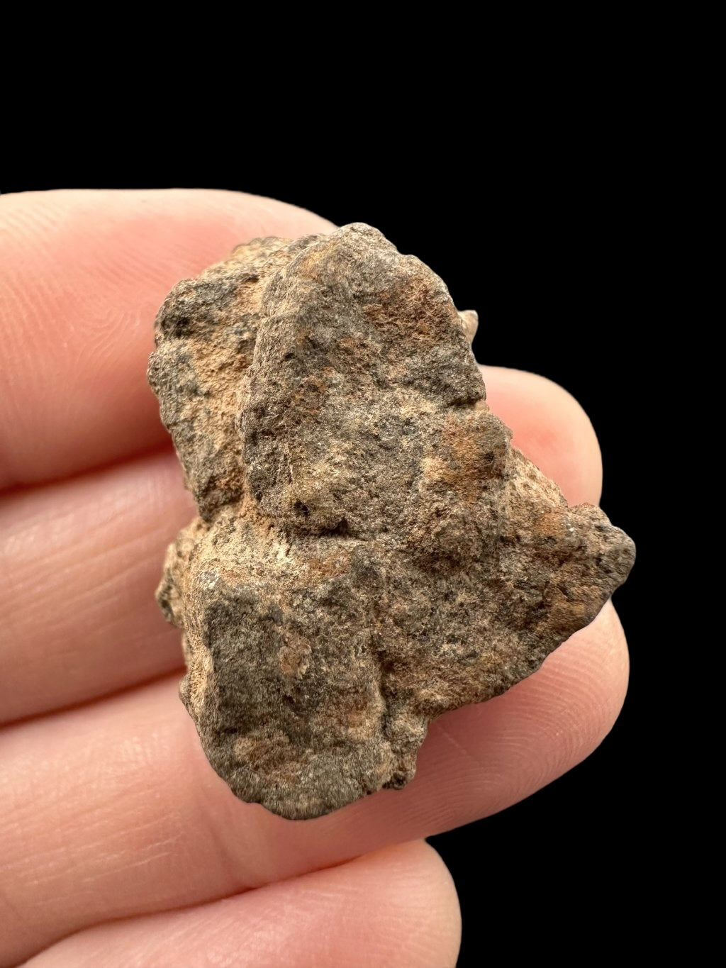 Meteorite Al Haggounia 001 – 8,2g – Western Sahara