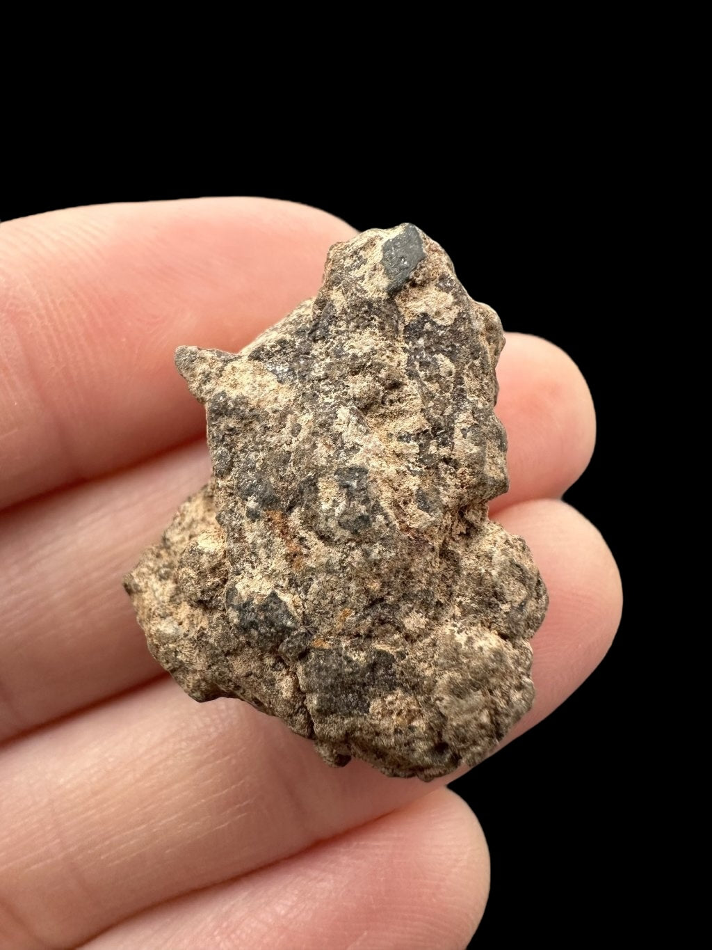 Meteorite Al Haggounia 001 – 8,2g – Western Sahara - MEAH52