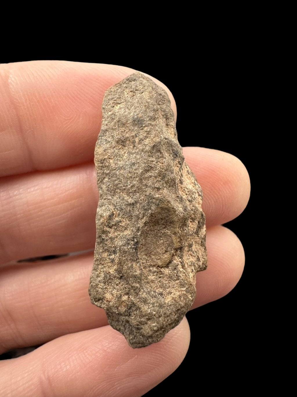 Meteorite Al Haggounia 001 – 7,3g – Western Sahara