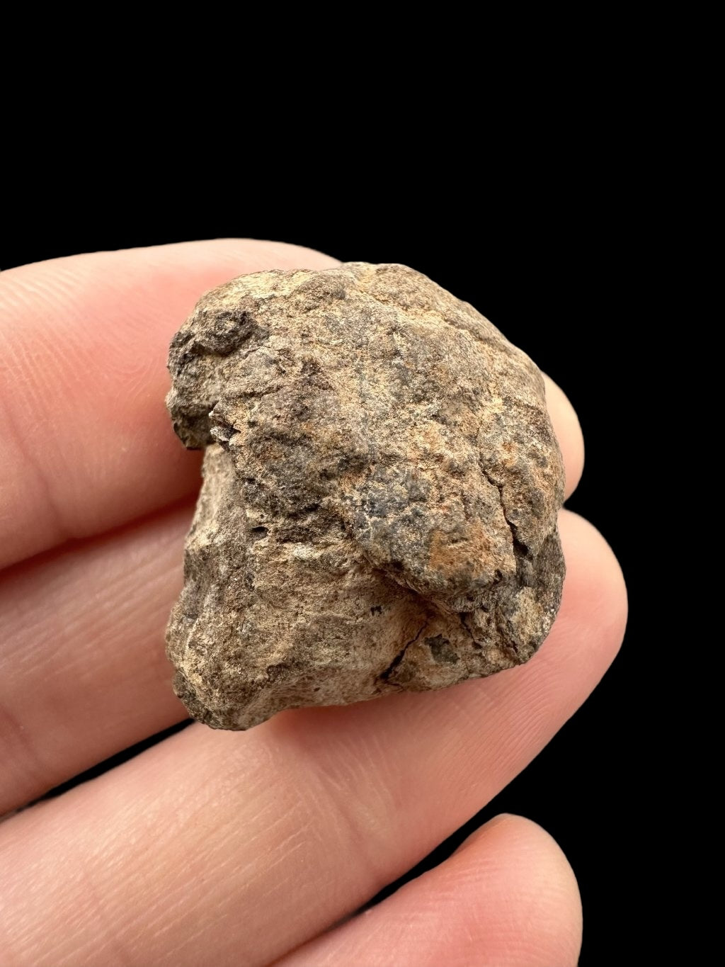 Meteorite Al Haggounia 001 – 10,5g – Western Sahara