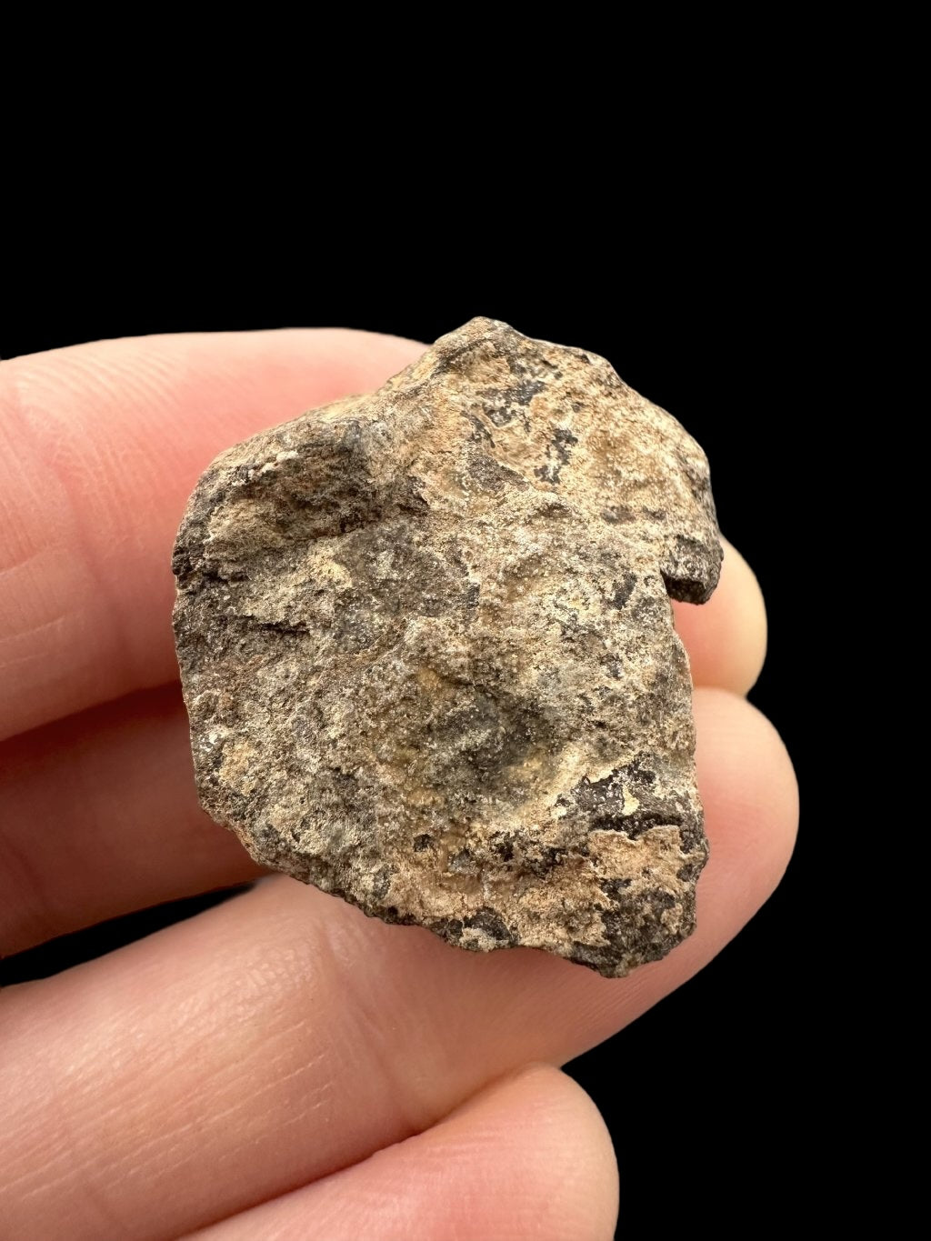 Meteorite Al Haggounia 001 – 10,5g – Western Sahara - MEAH54