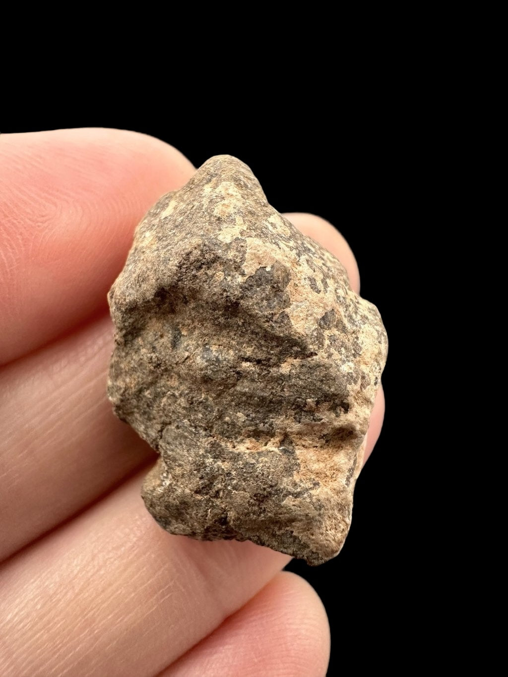 Meteorite Al Haggounia 001 – 9,3g – Western Sahara