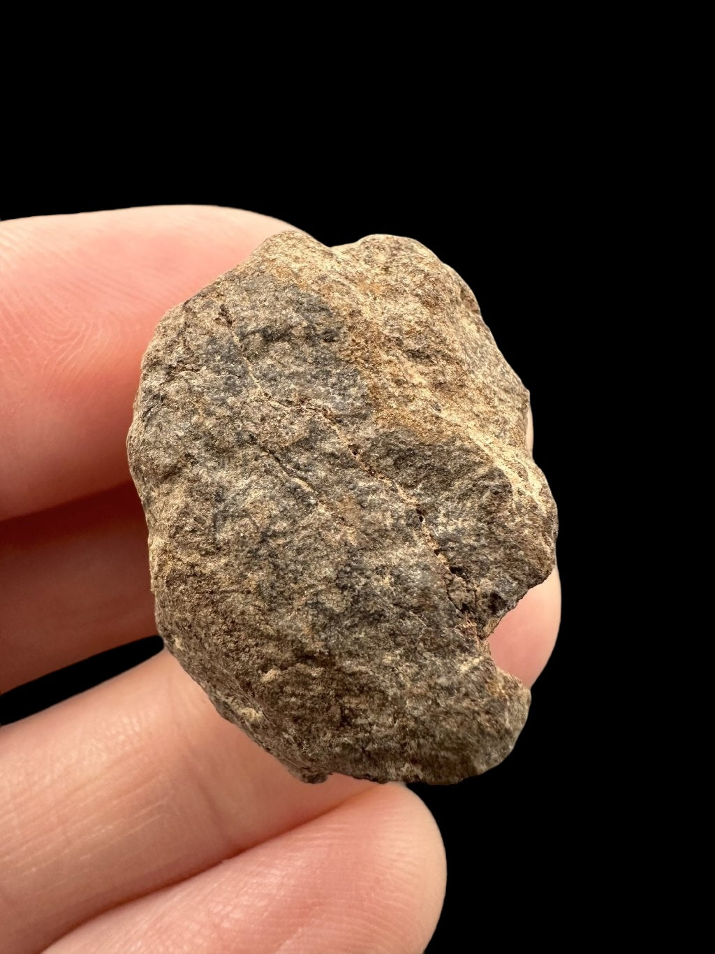 Meteorite Al Haggounia 001 – 9,3g – Western Sahara - MEAH55