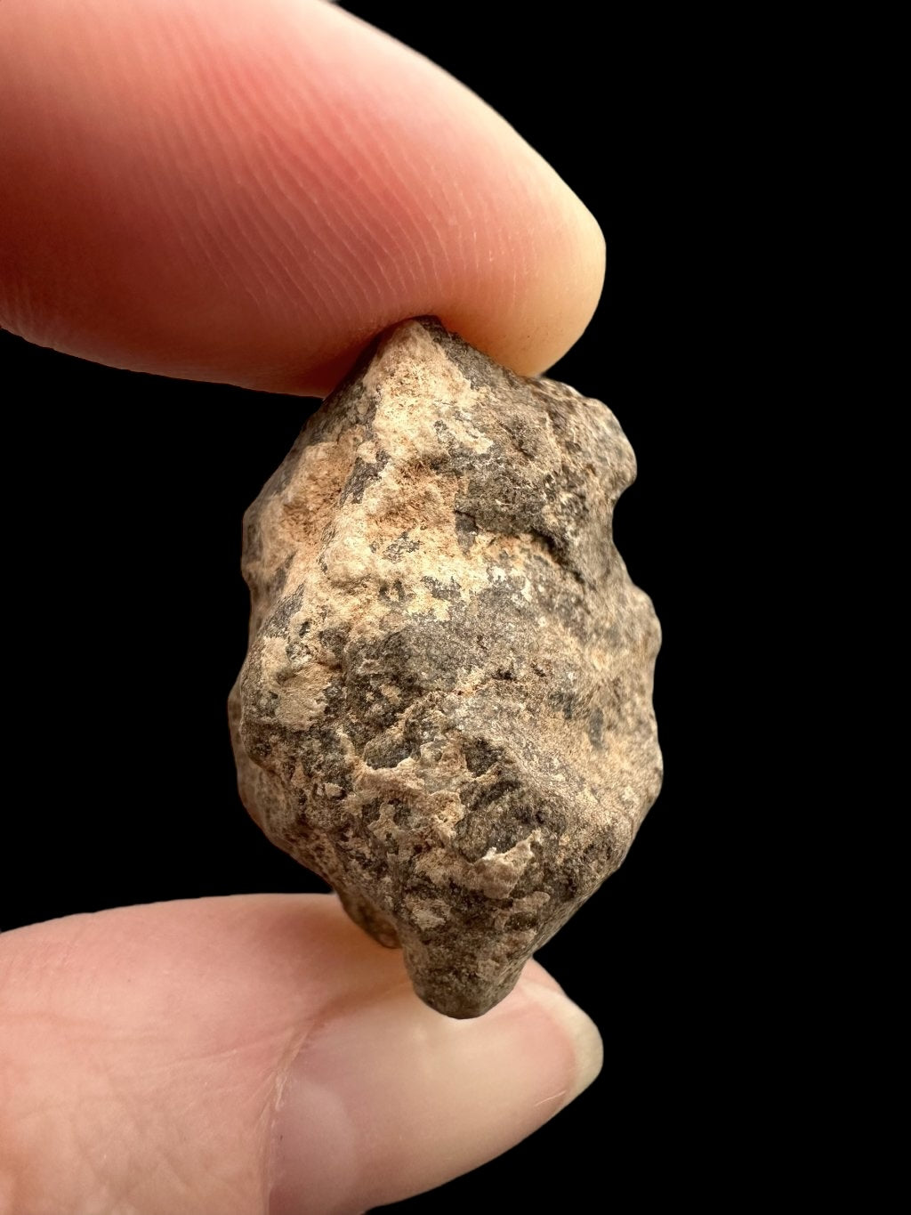 Meteorite Al Haggounia 001 – 9,3g – Western Sahara - MEAH55