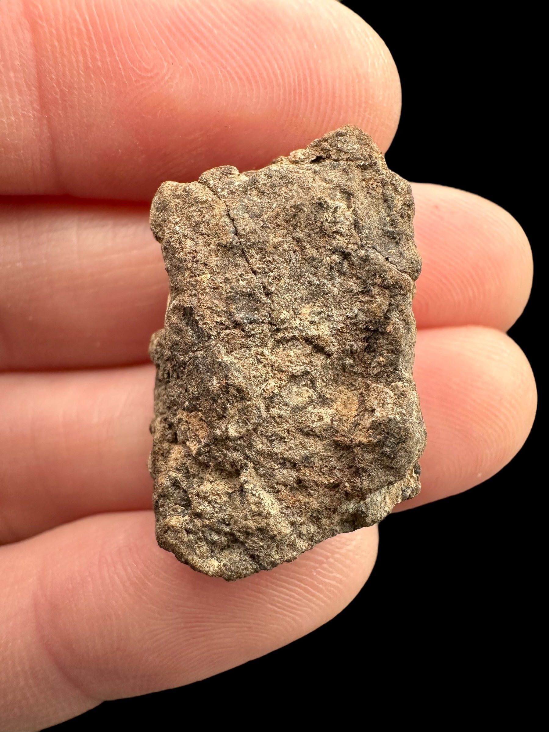 Meteorite Al Haggounia 001 – 6,5g – Western Sahara - MEAH58