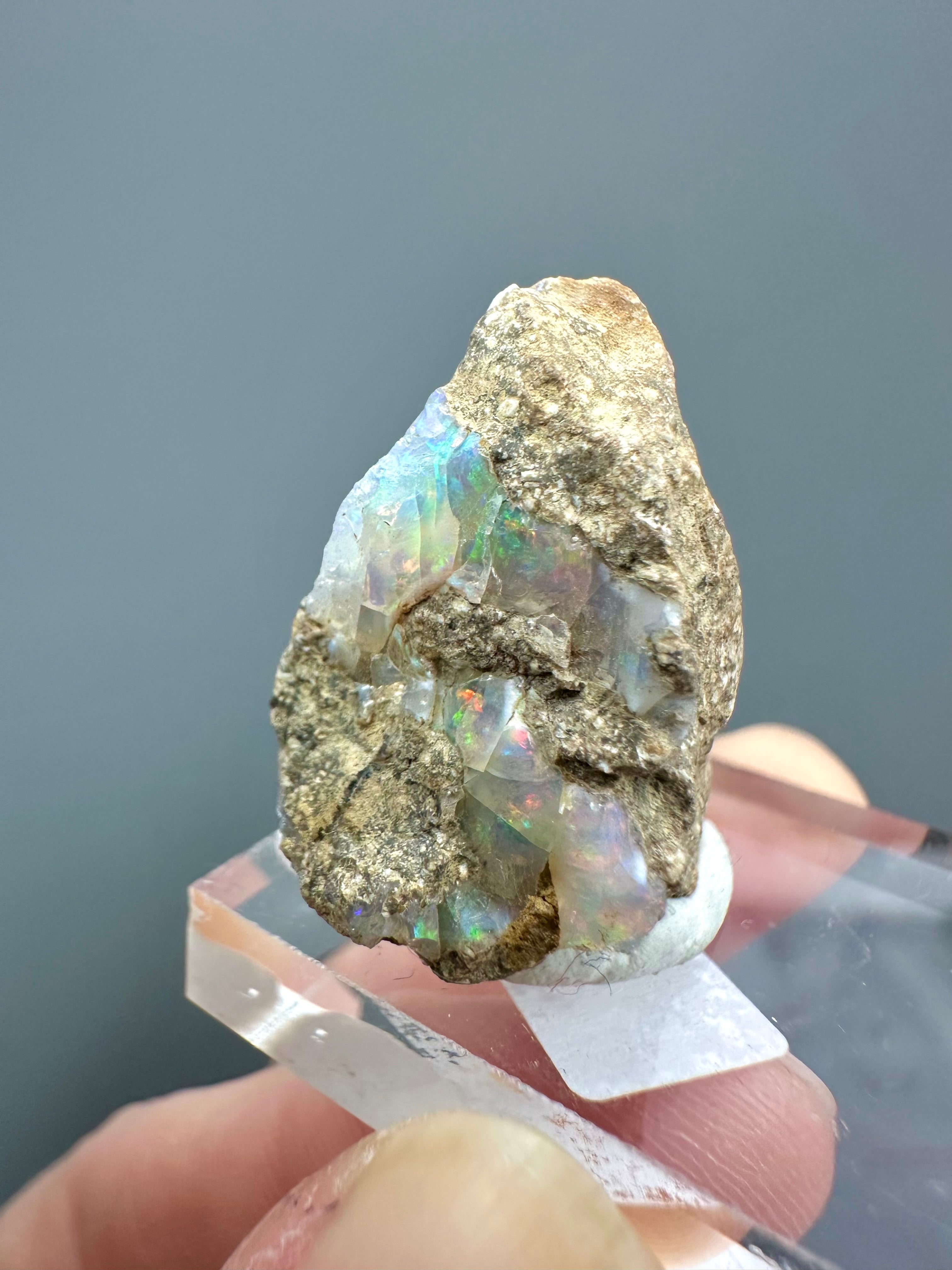 Precious opal – Dubnik, Slovakia