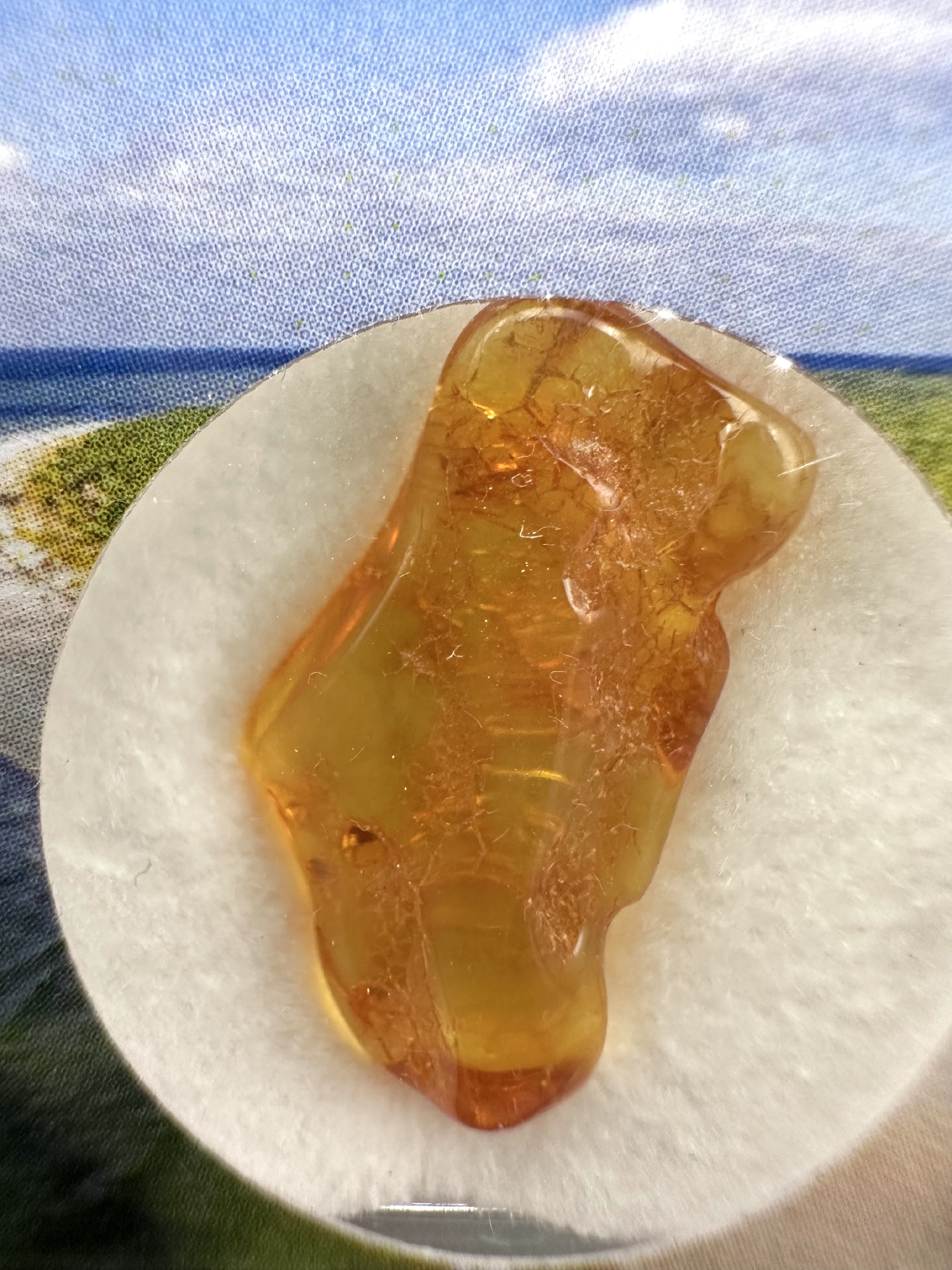 Amber in box – Lithuania - JN142