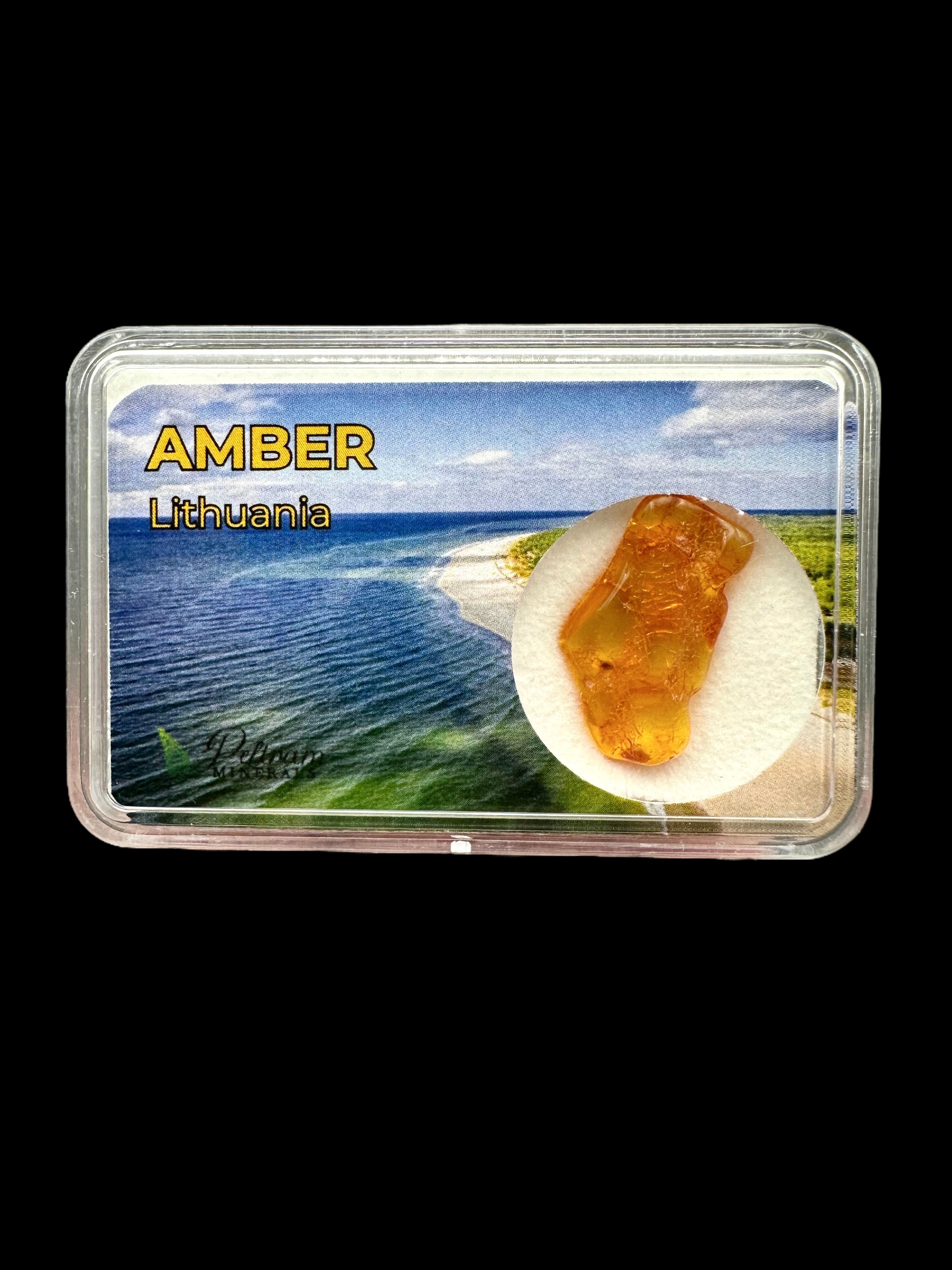 Amber in box – Lithuania