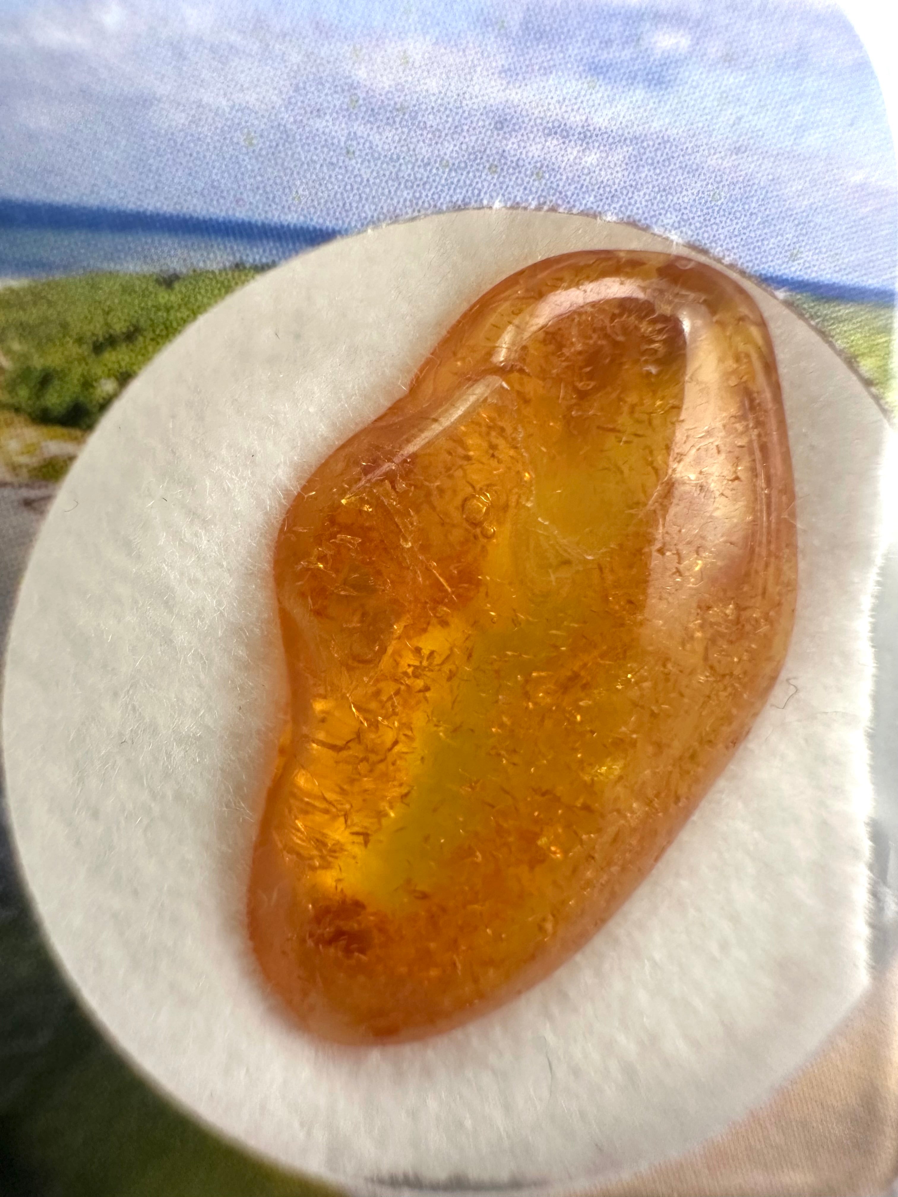 Amber in box – Lithuania - JN143