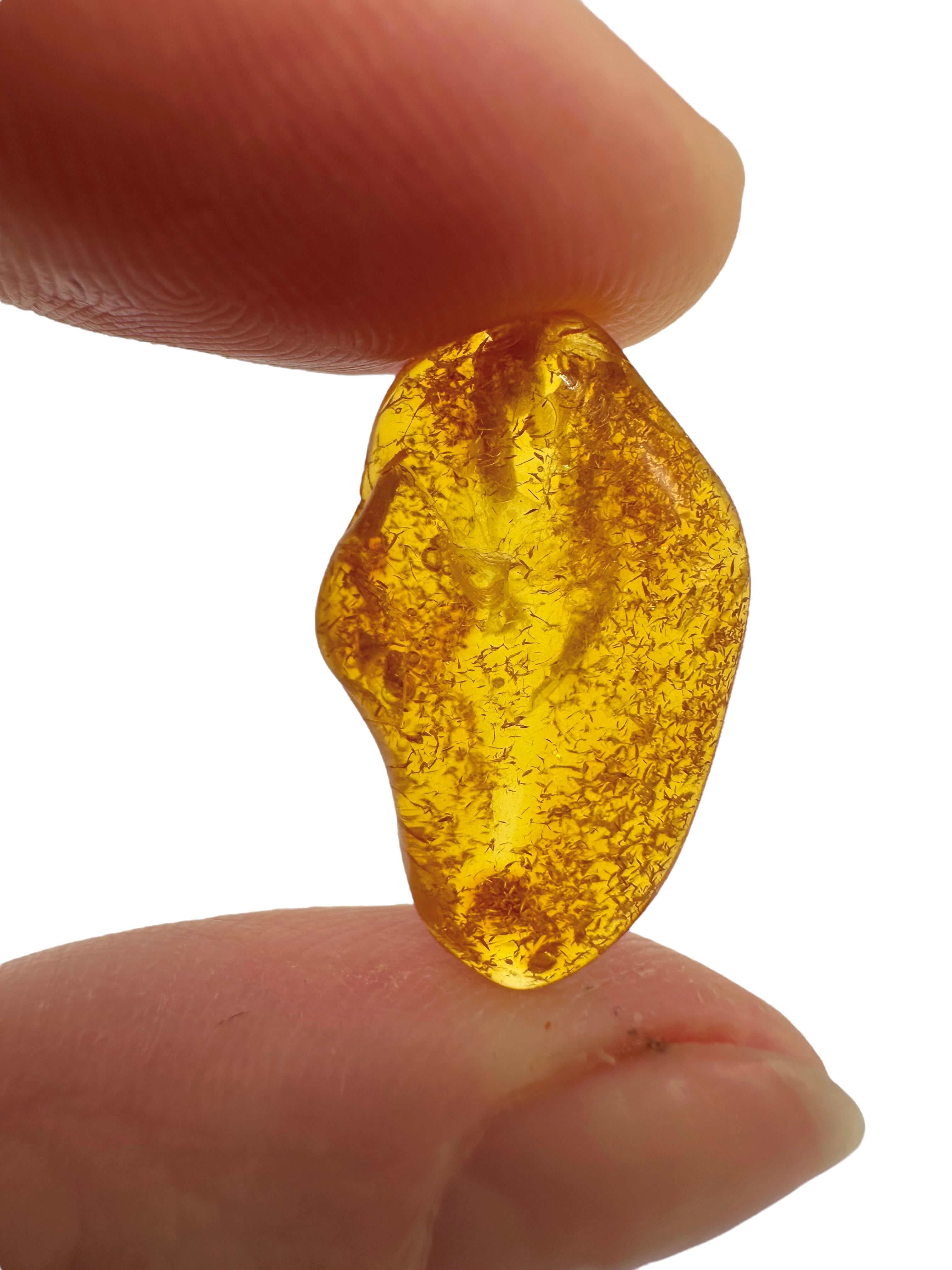 Amber in box – Lithuania - JN143